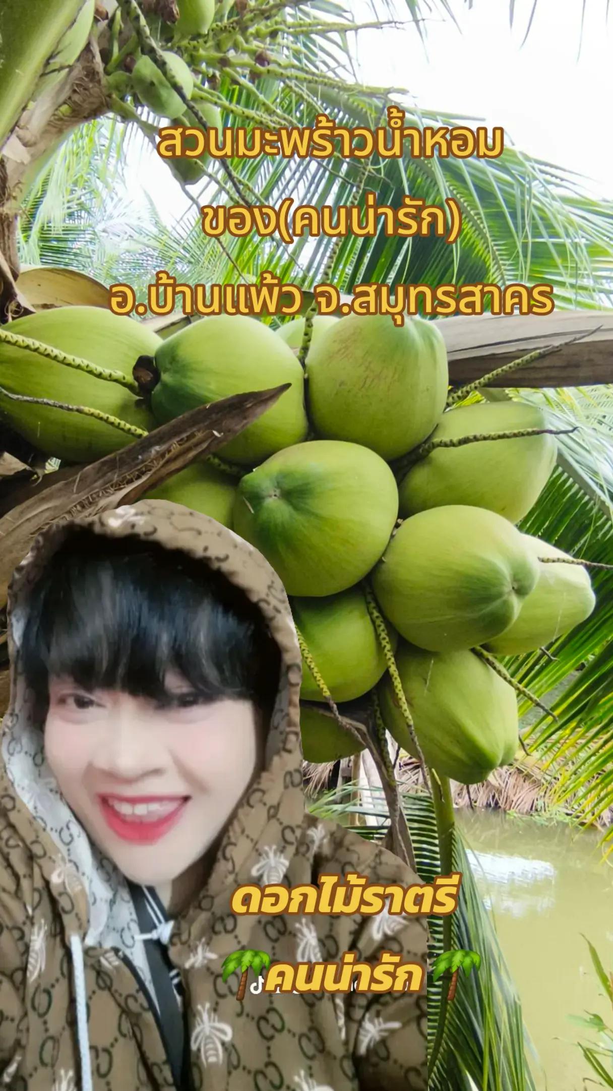 @ดอกไม้ราตรี