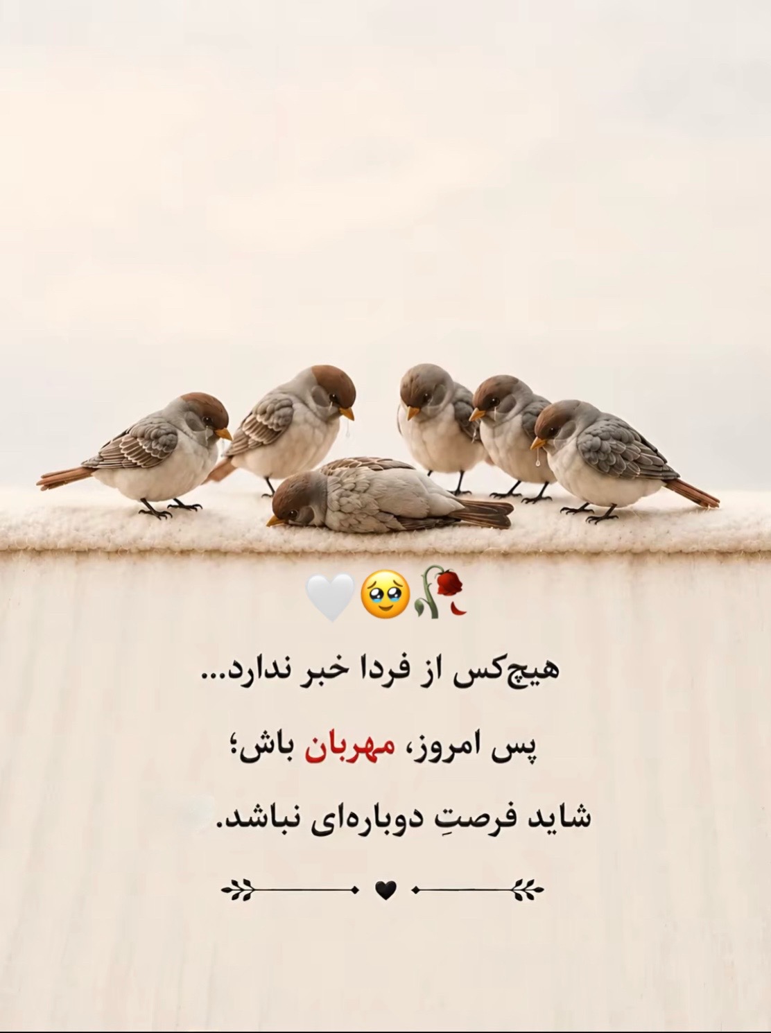 @𝓢𝓪𝓶𝓲𝓻𝓪❀