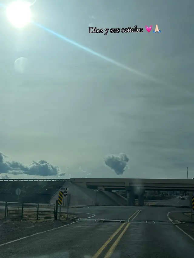 @Llami 🧿