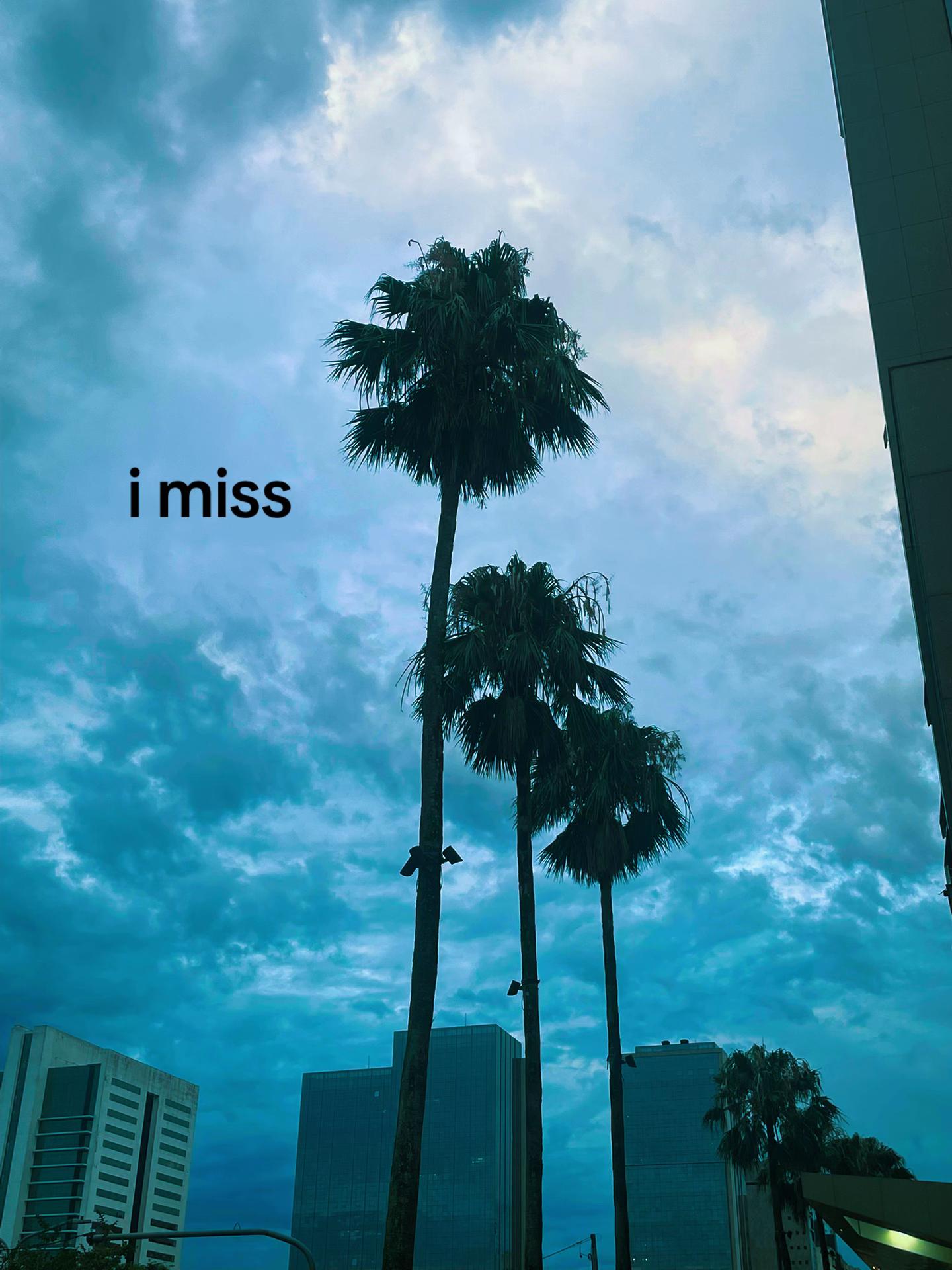 @lelexx