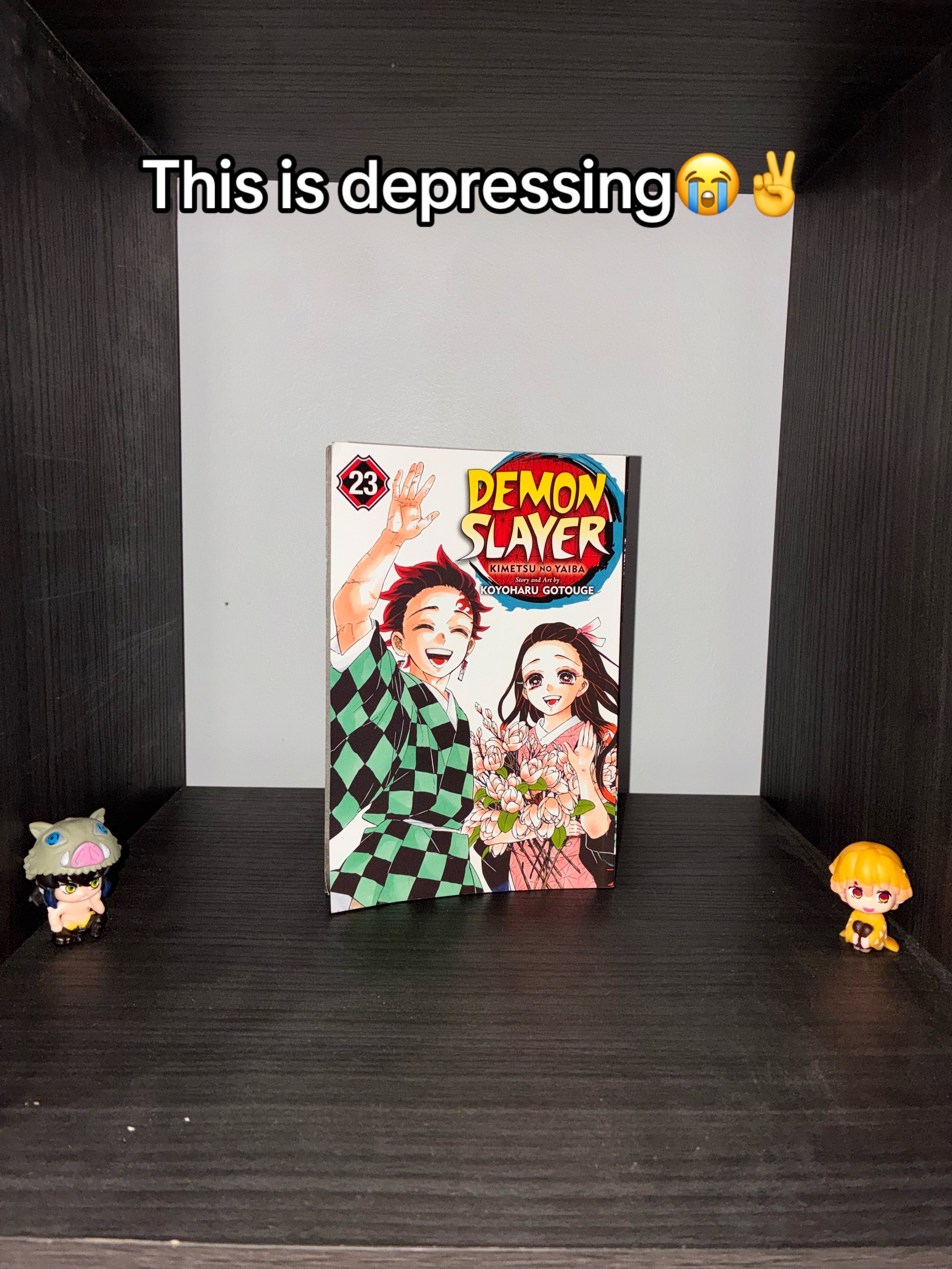 @˚★𝑇𝑎𝑛𝑗𝑖𝑟𝑜.𖥔