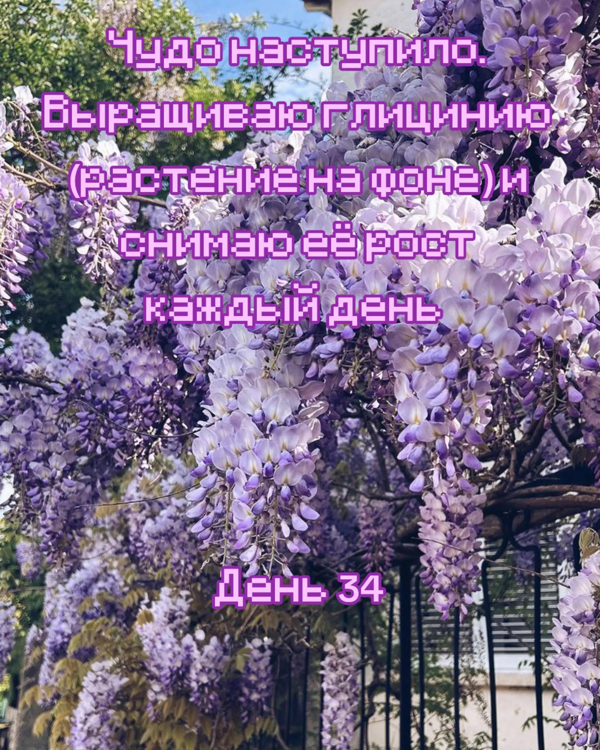 @Дрелька [nu]