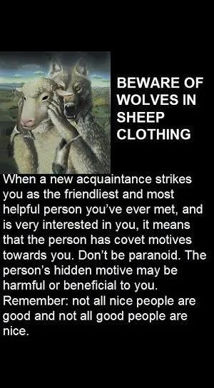 @wolfbait_2