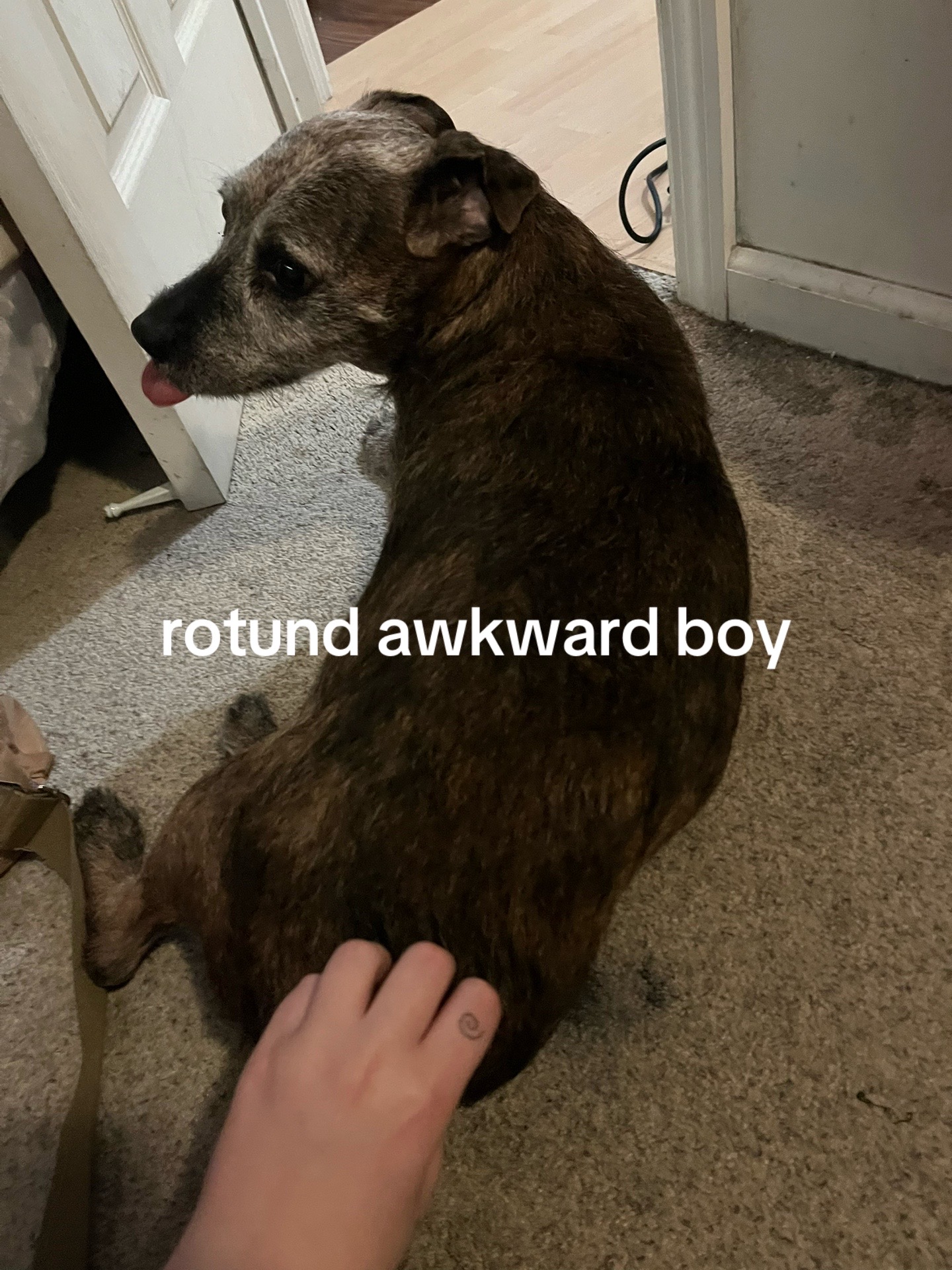 @trashboatski