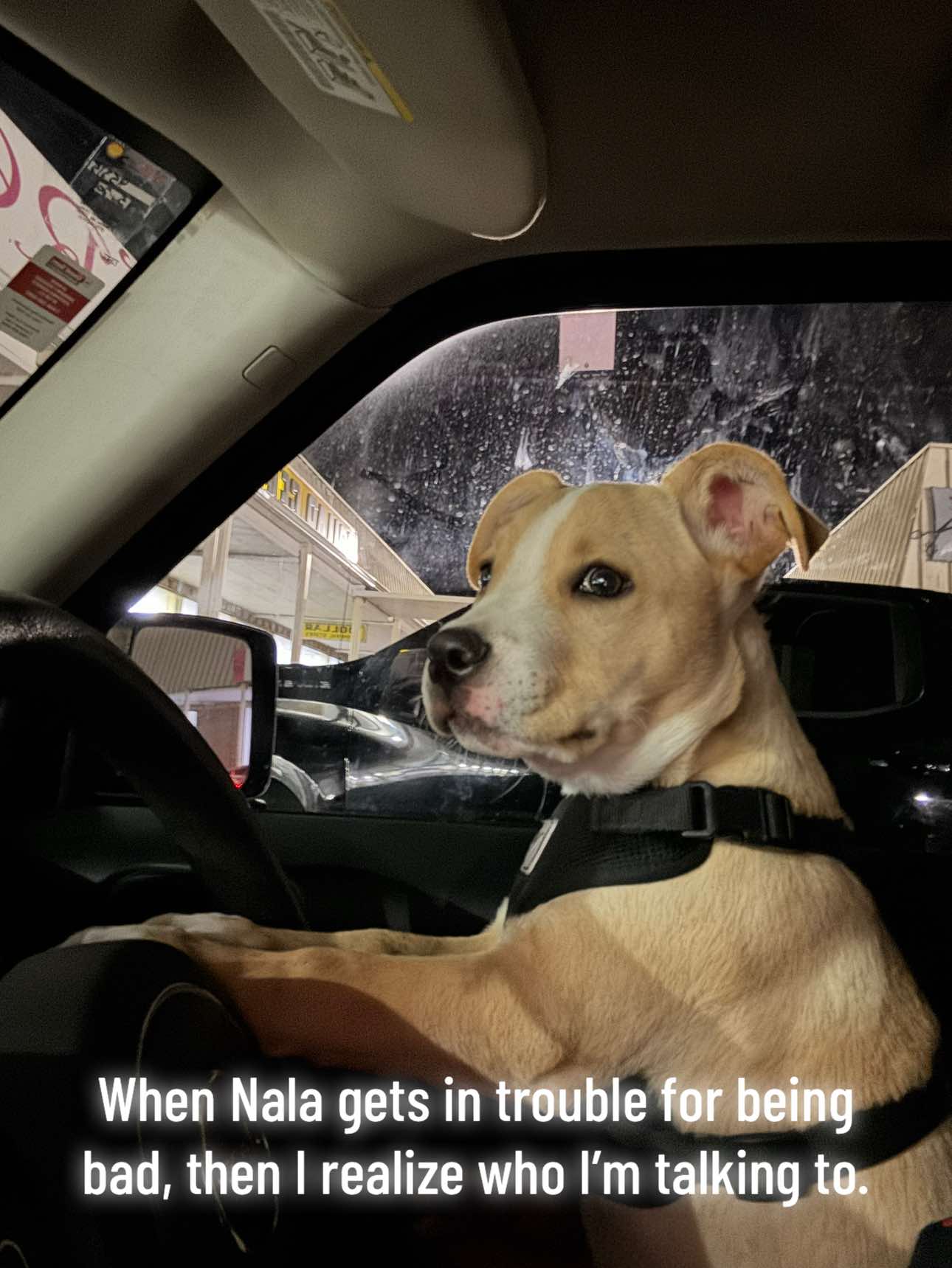 @Shae B