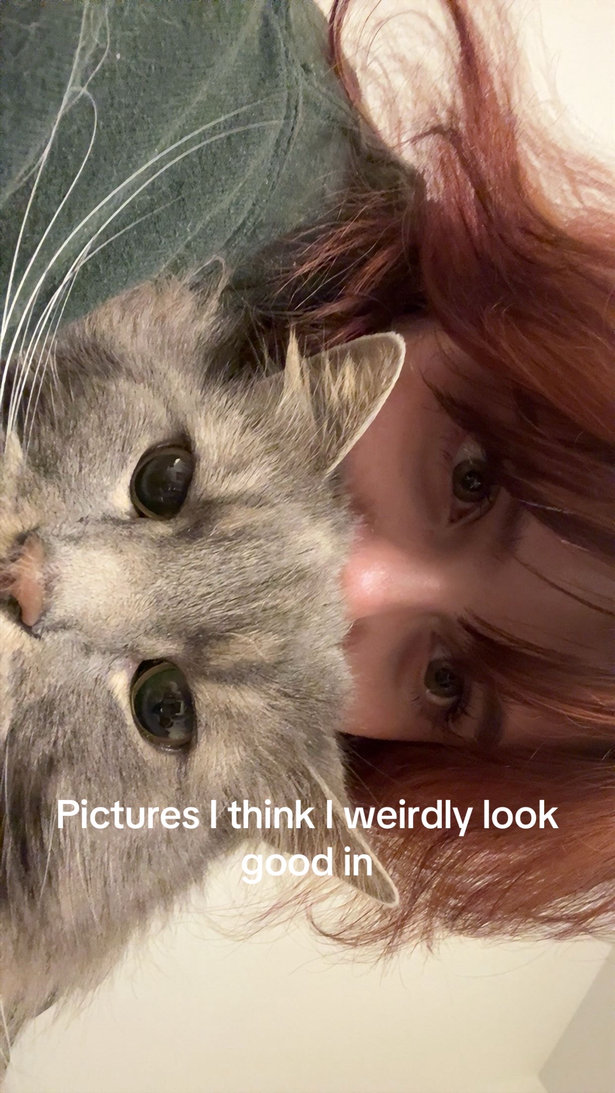 @laurenhami