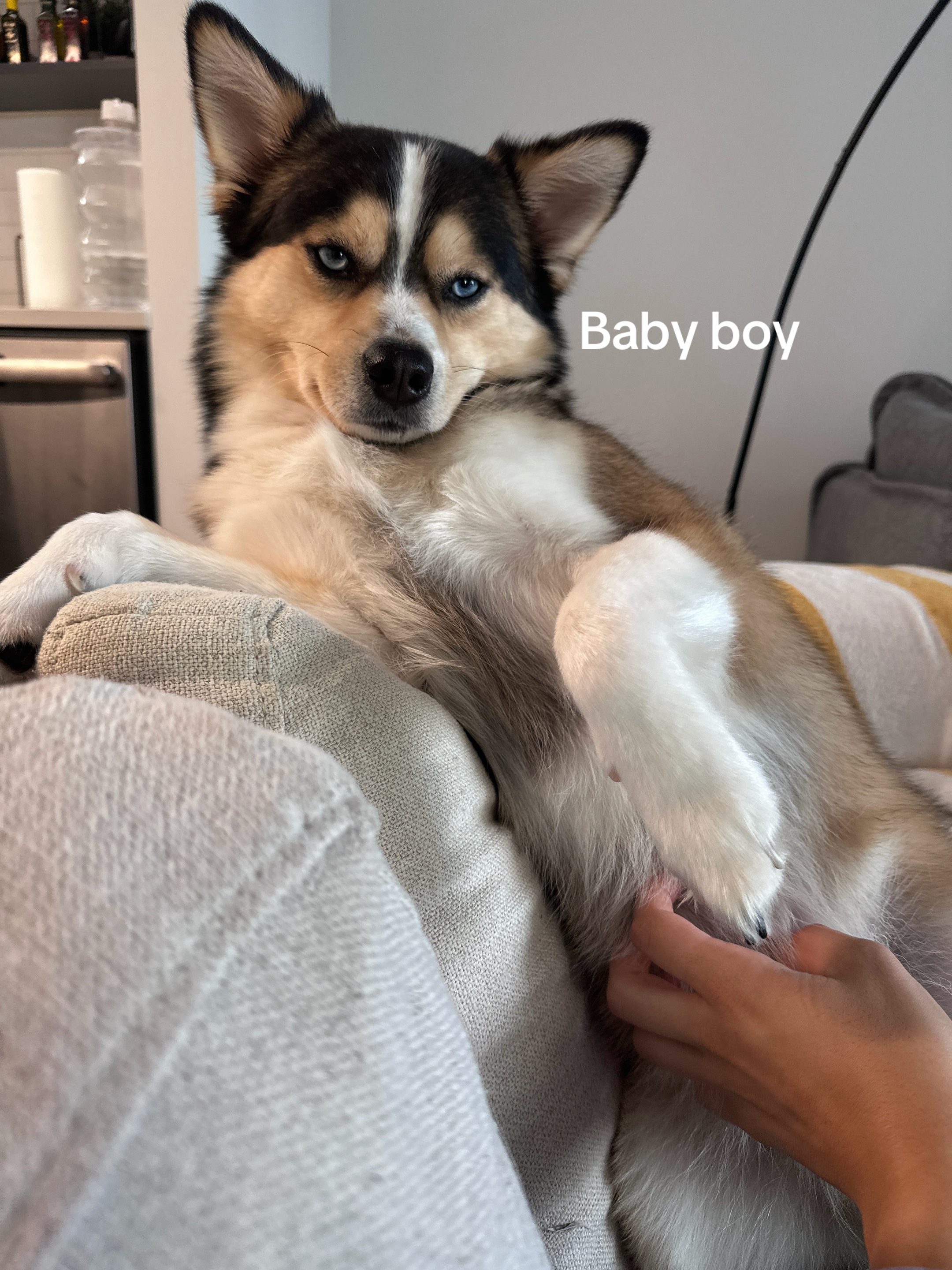 @GABBAGOOL