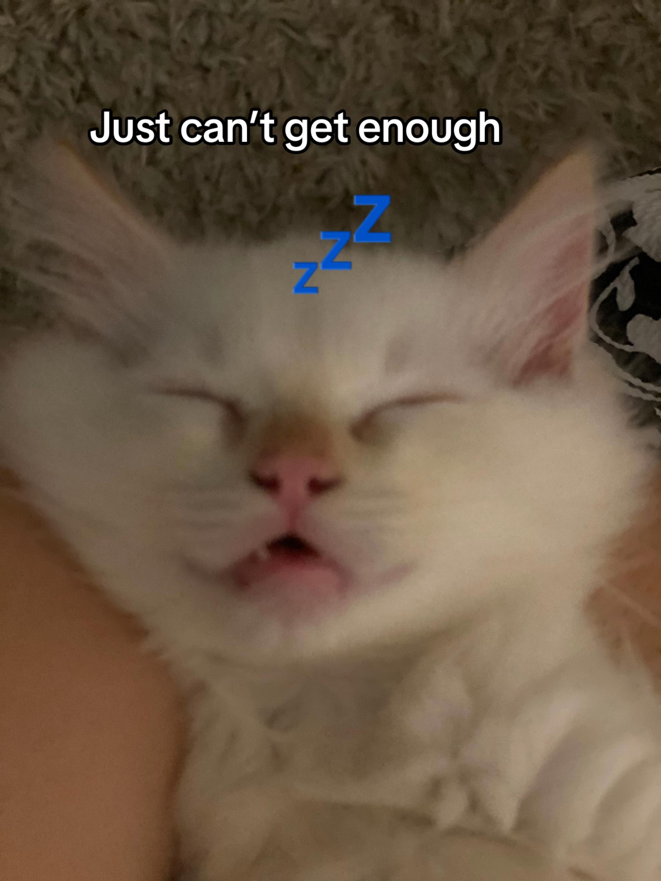 @Tilly-Tom-Timmy