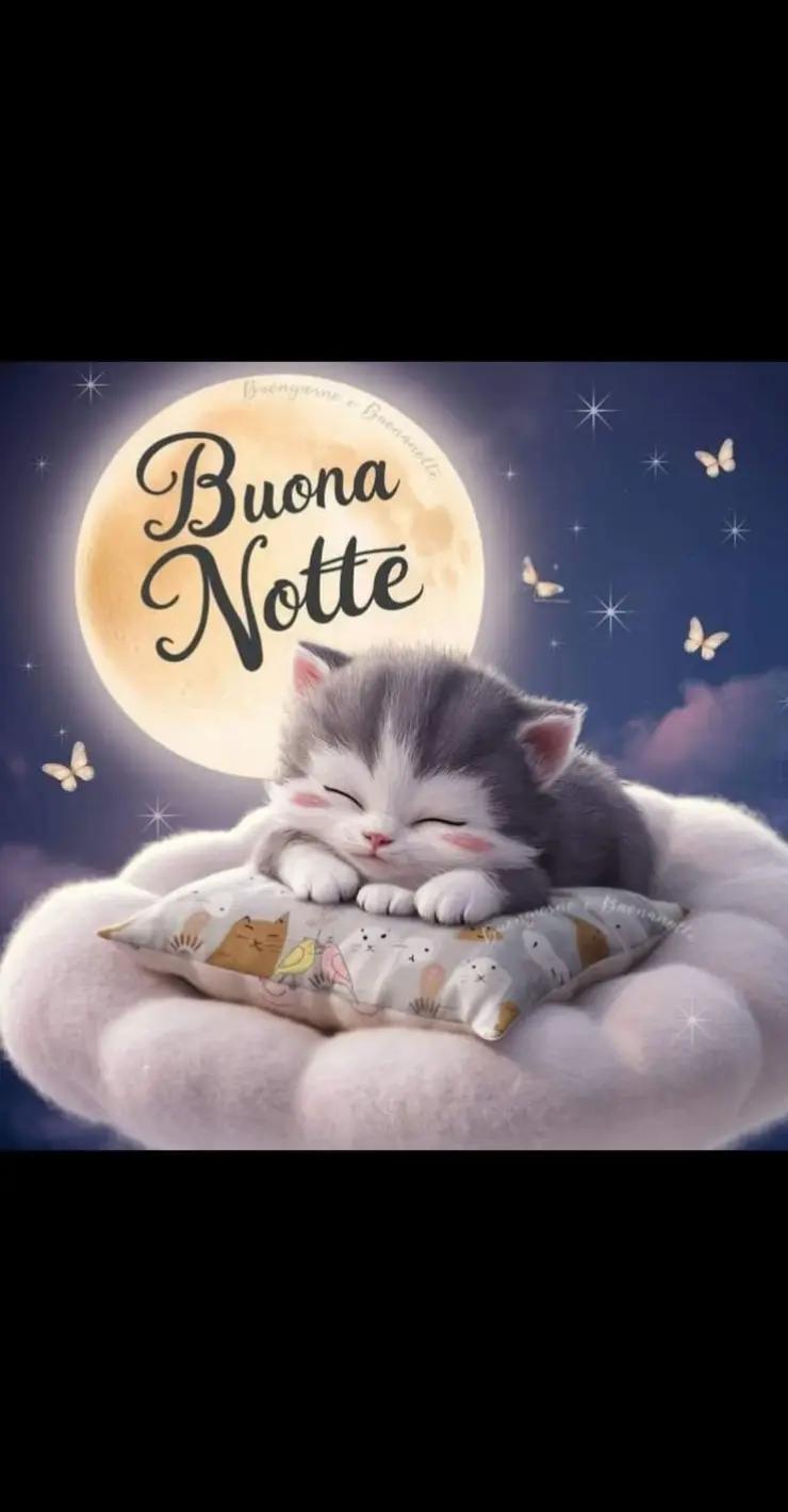 @Maria Borghese
