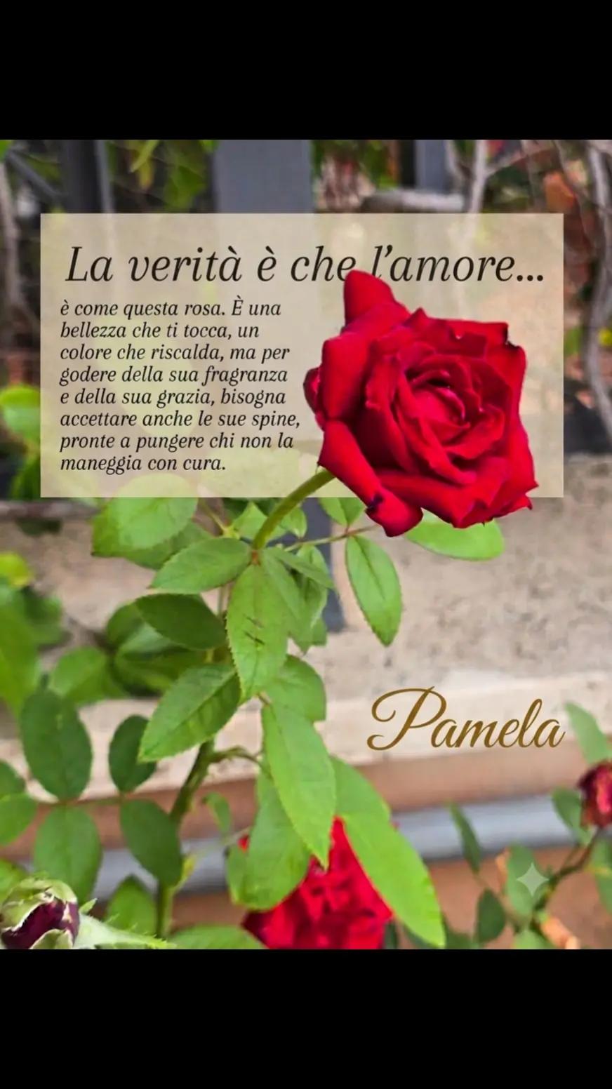 @Pamela Lucia Mazza🕷