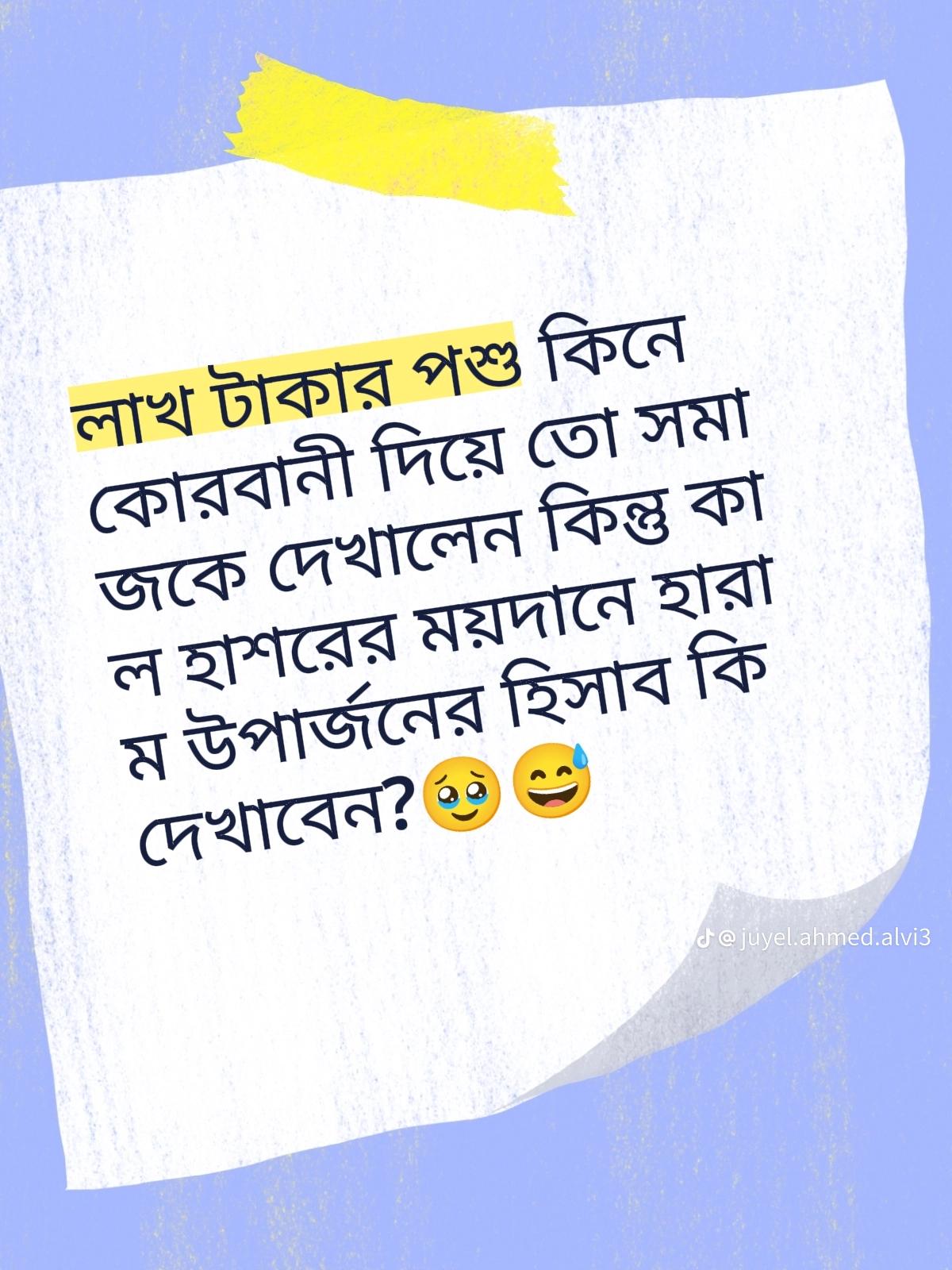 @mdnijam5713