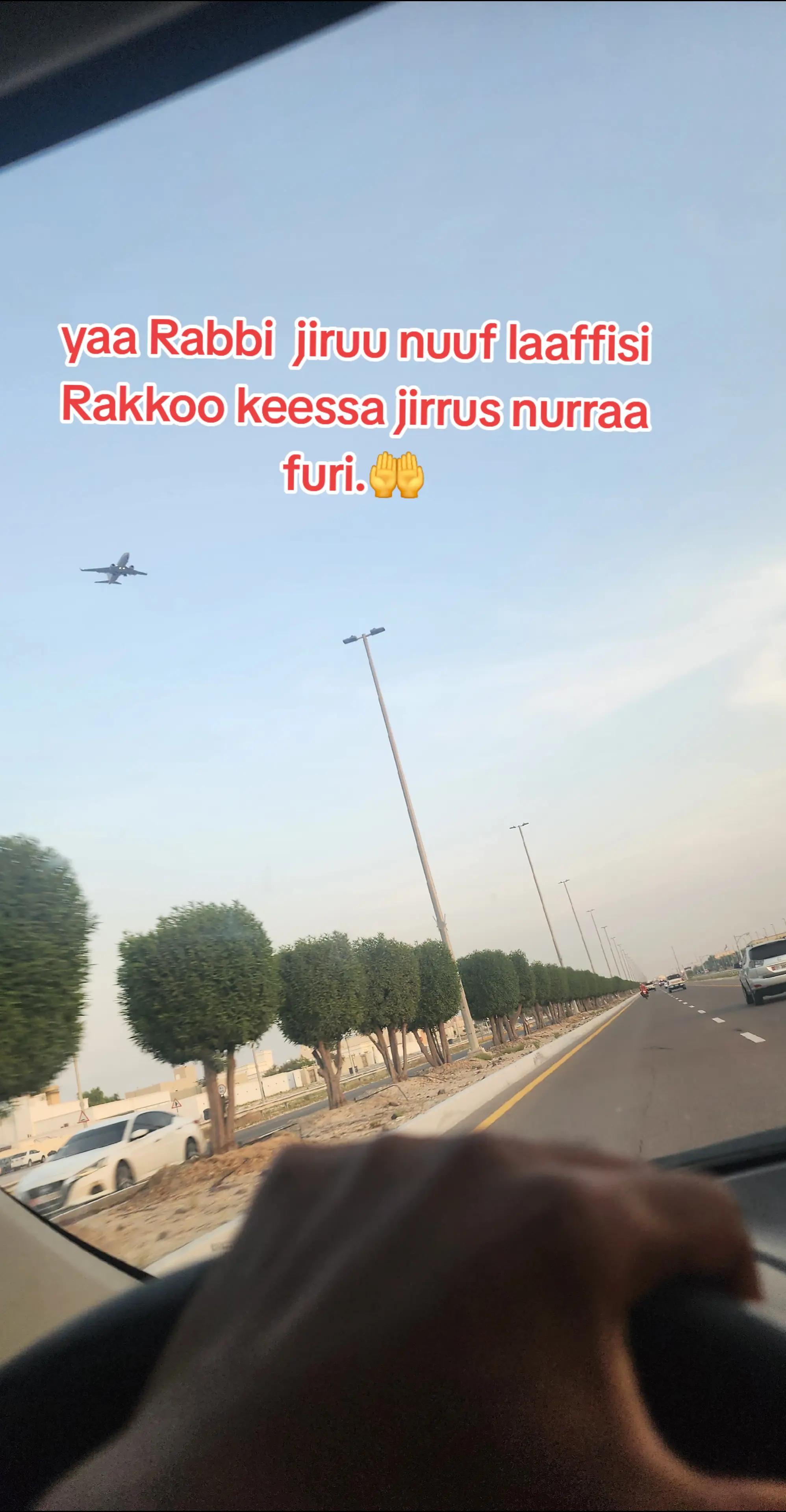 @Mohammed Alp