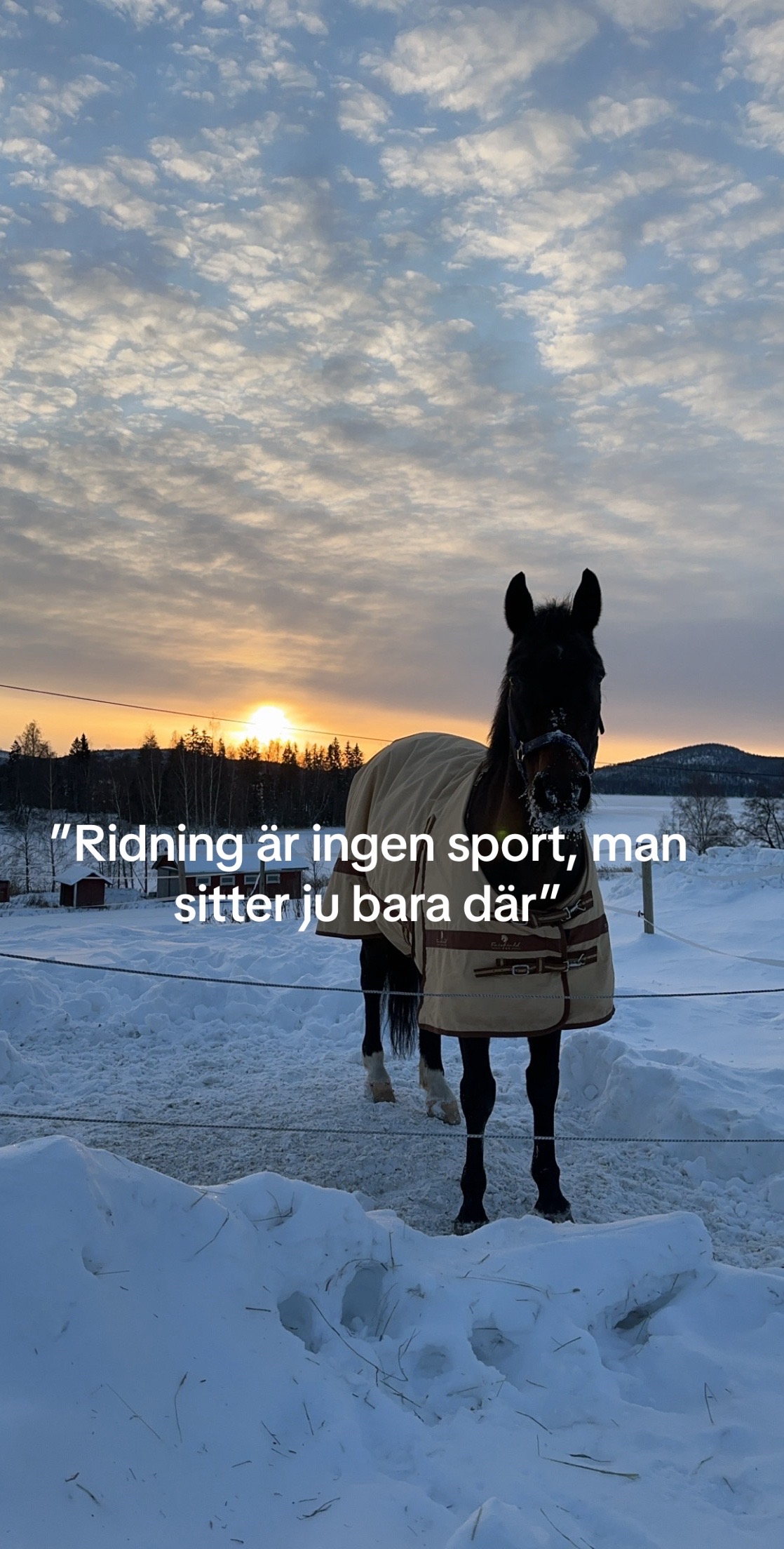@Josefin🇸🇪