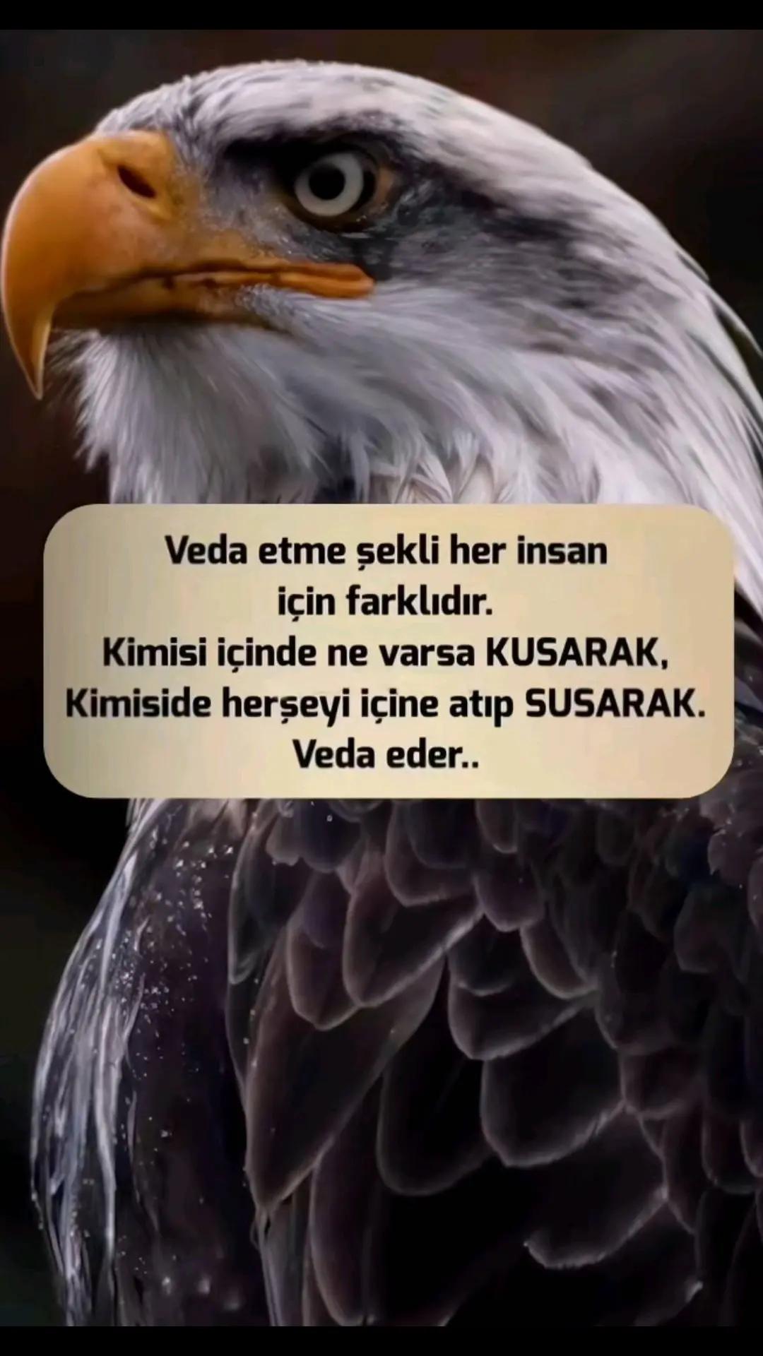 @Evlaat