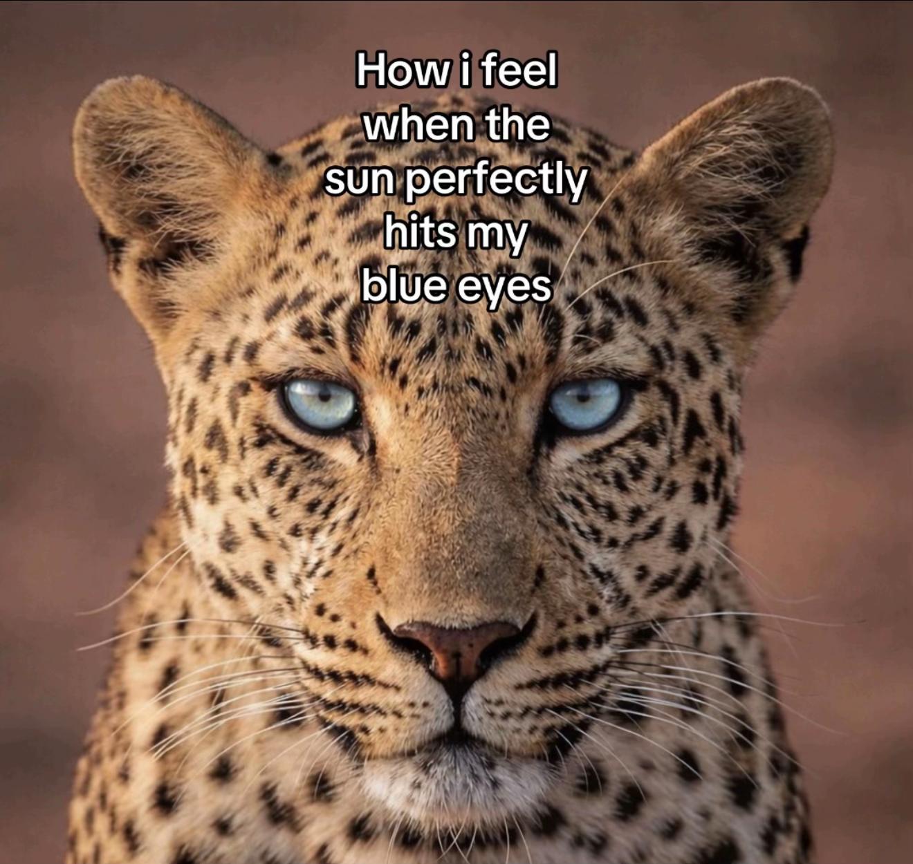 @𝓢𝓶𝓲𝓻𝓷𝓸𝓯𝓯🦅🇷🇺