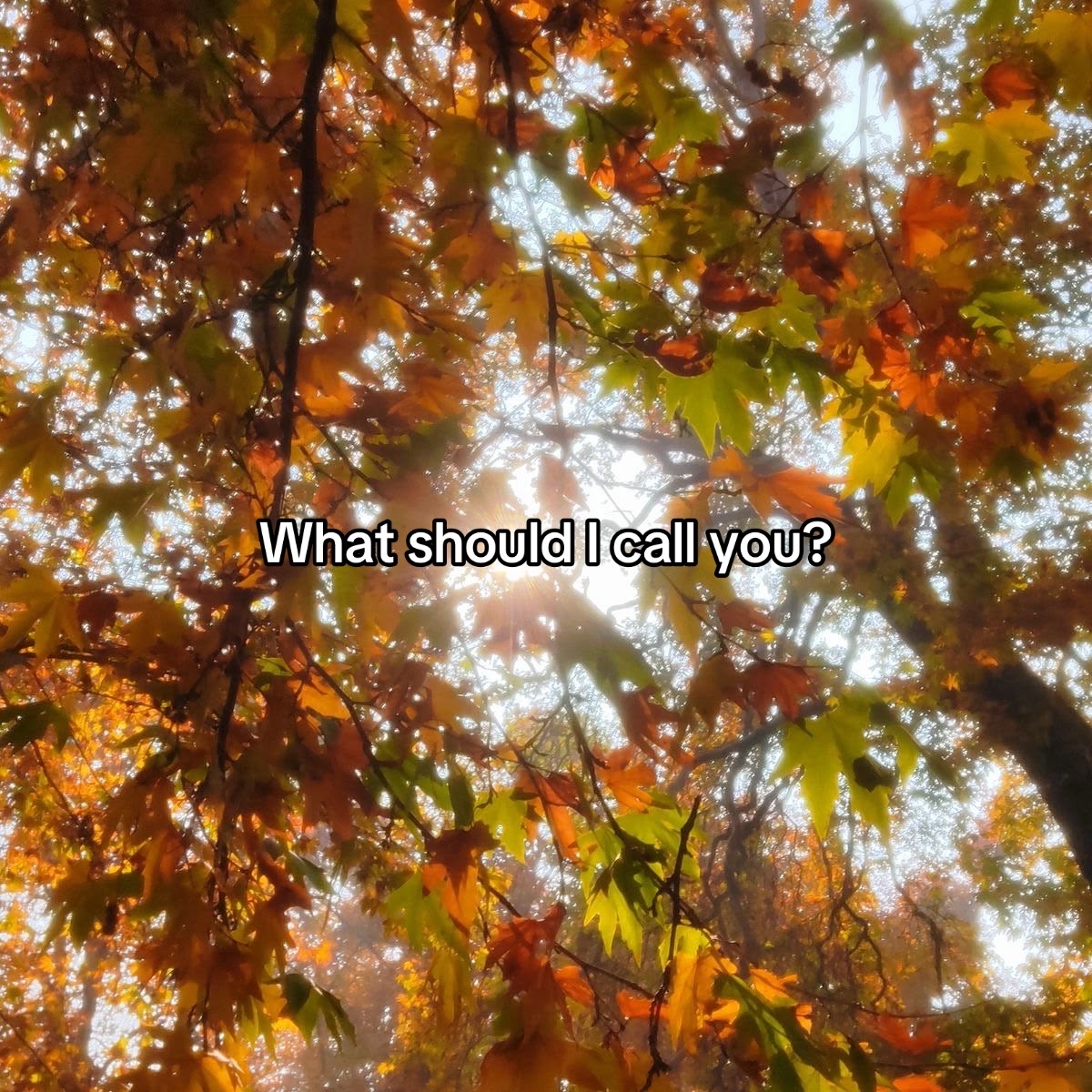 @ＹＡＭＡ ദ്ദി ˉ͈̀꒳ˉ͈́ )✧