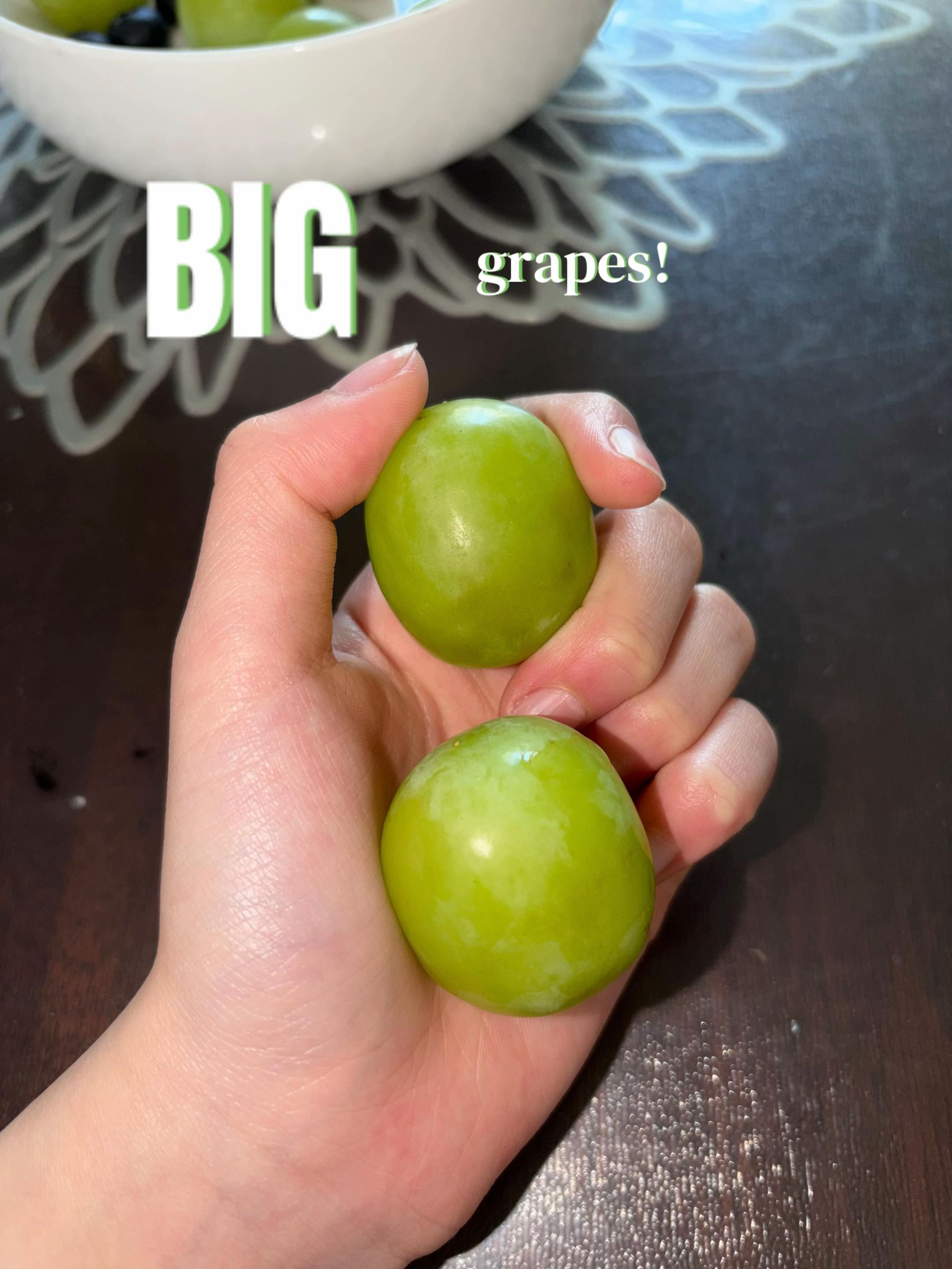 @✨🍏POMME🍈🌾