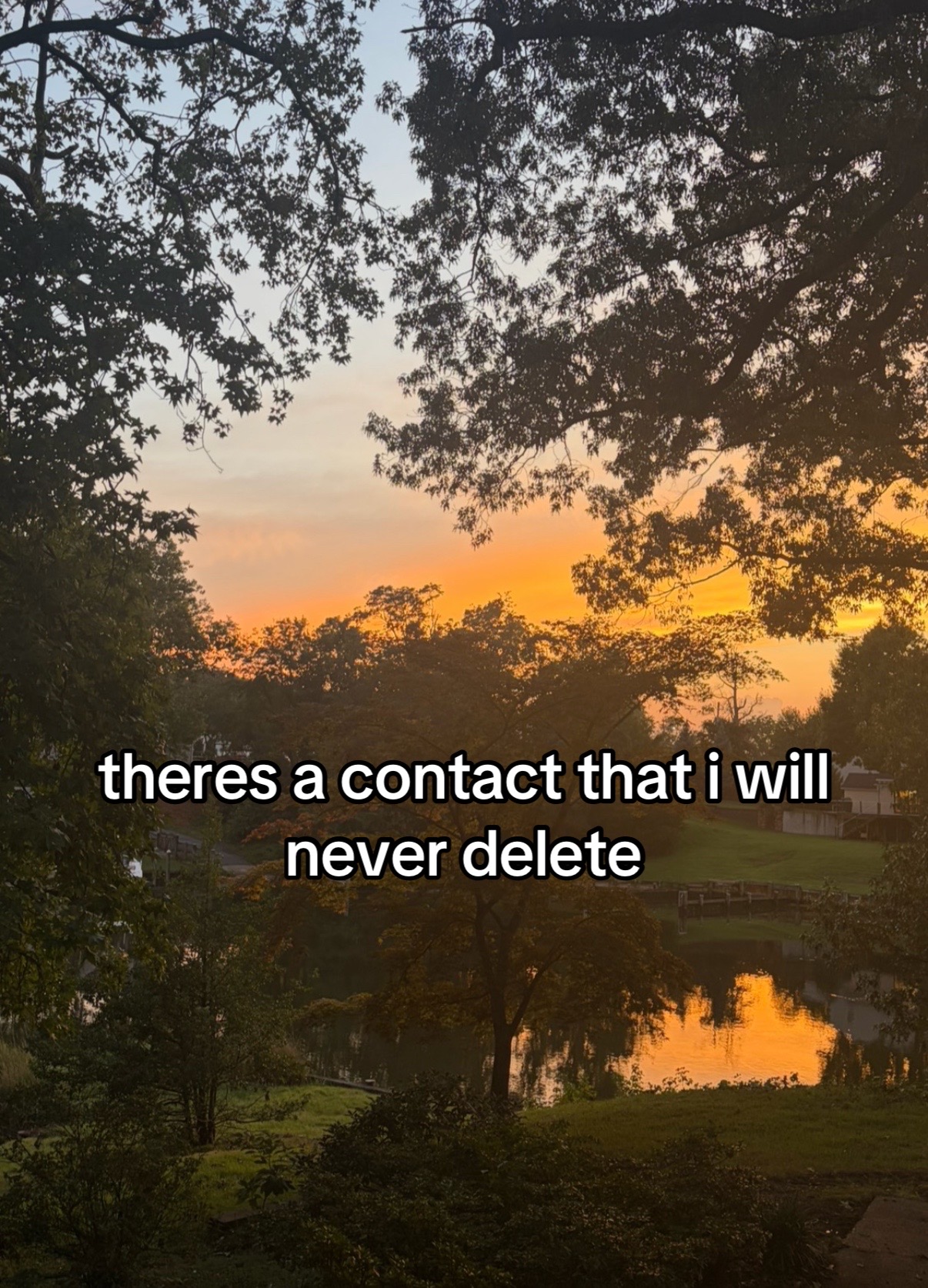 @cbds