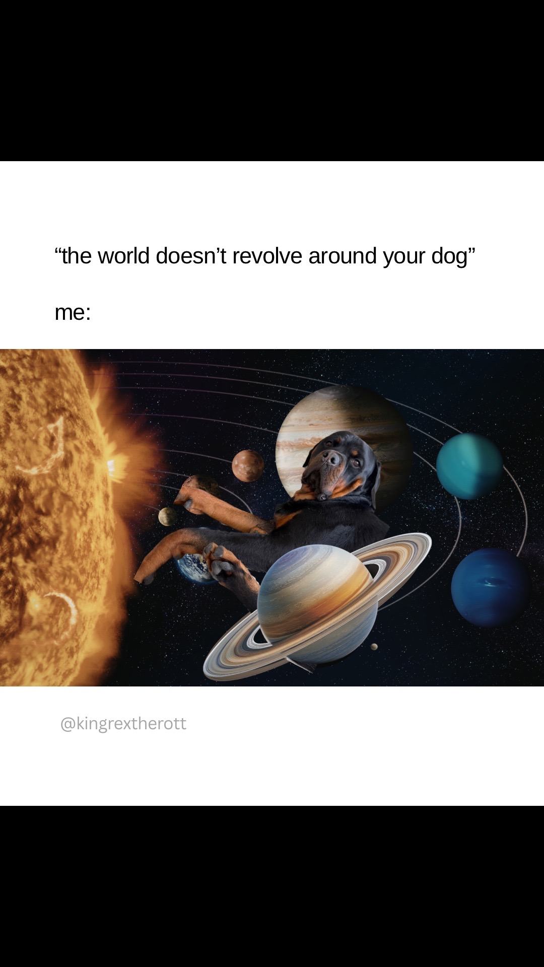 @Rex the Rottweiler