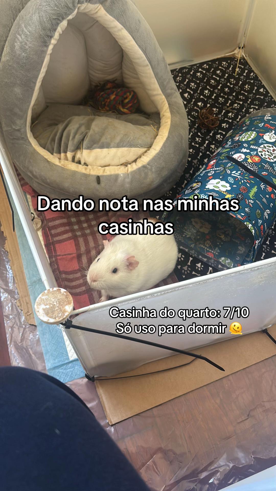 @sabrine200