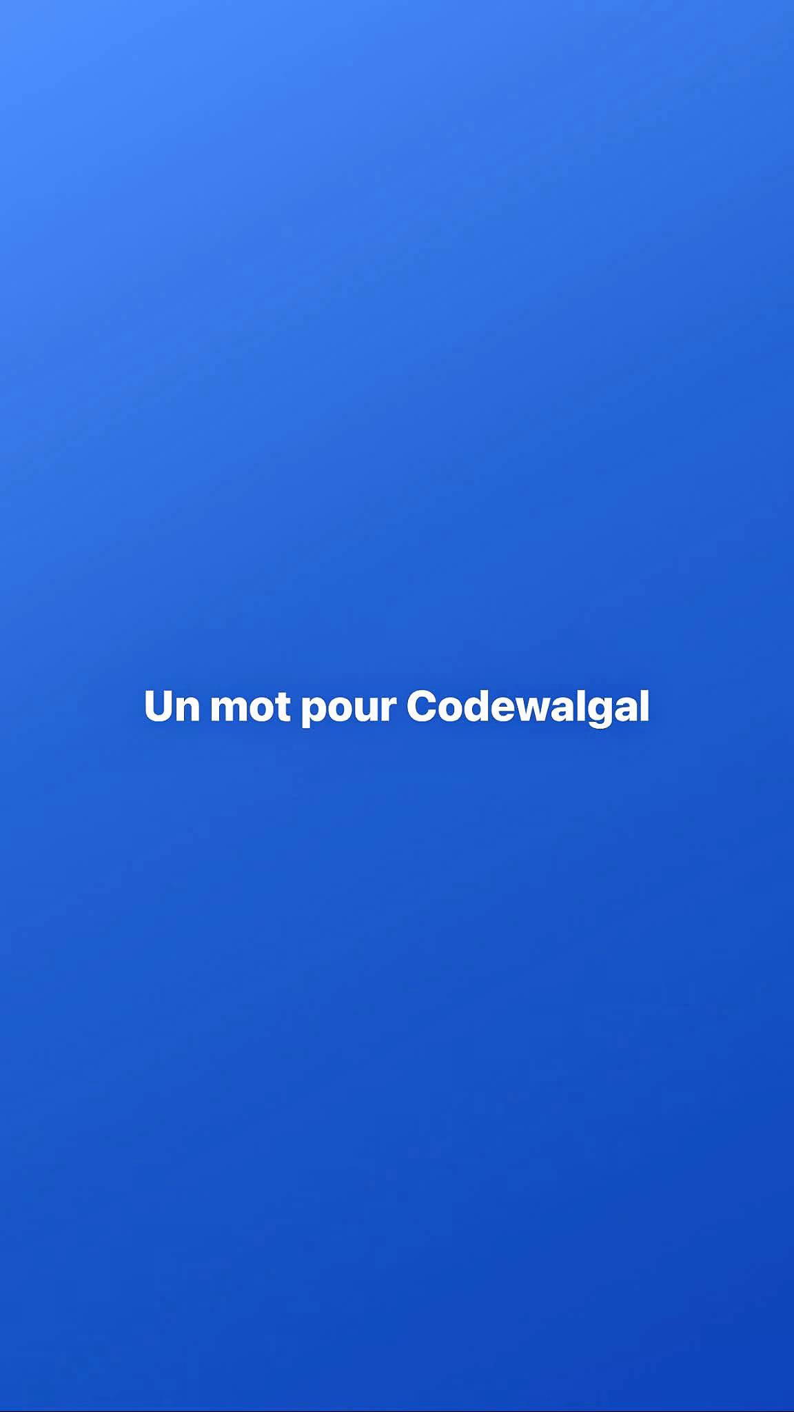 @code winguil