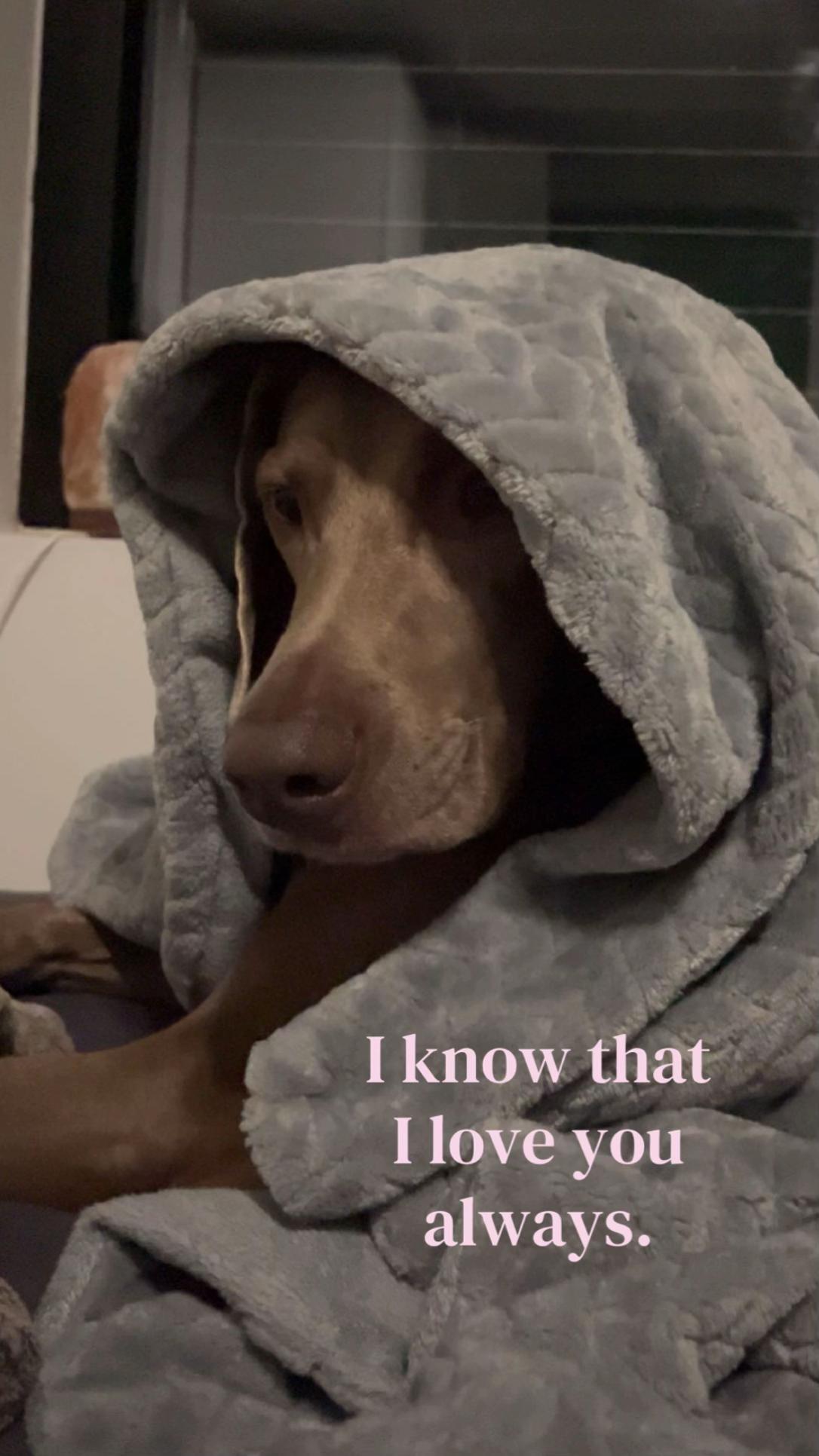 @𝓜𝓐𝓙𝓐