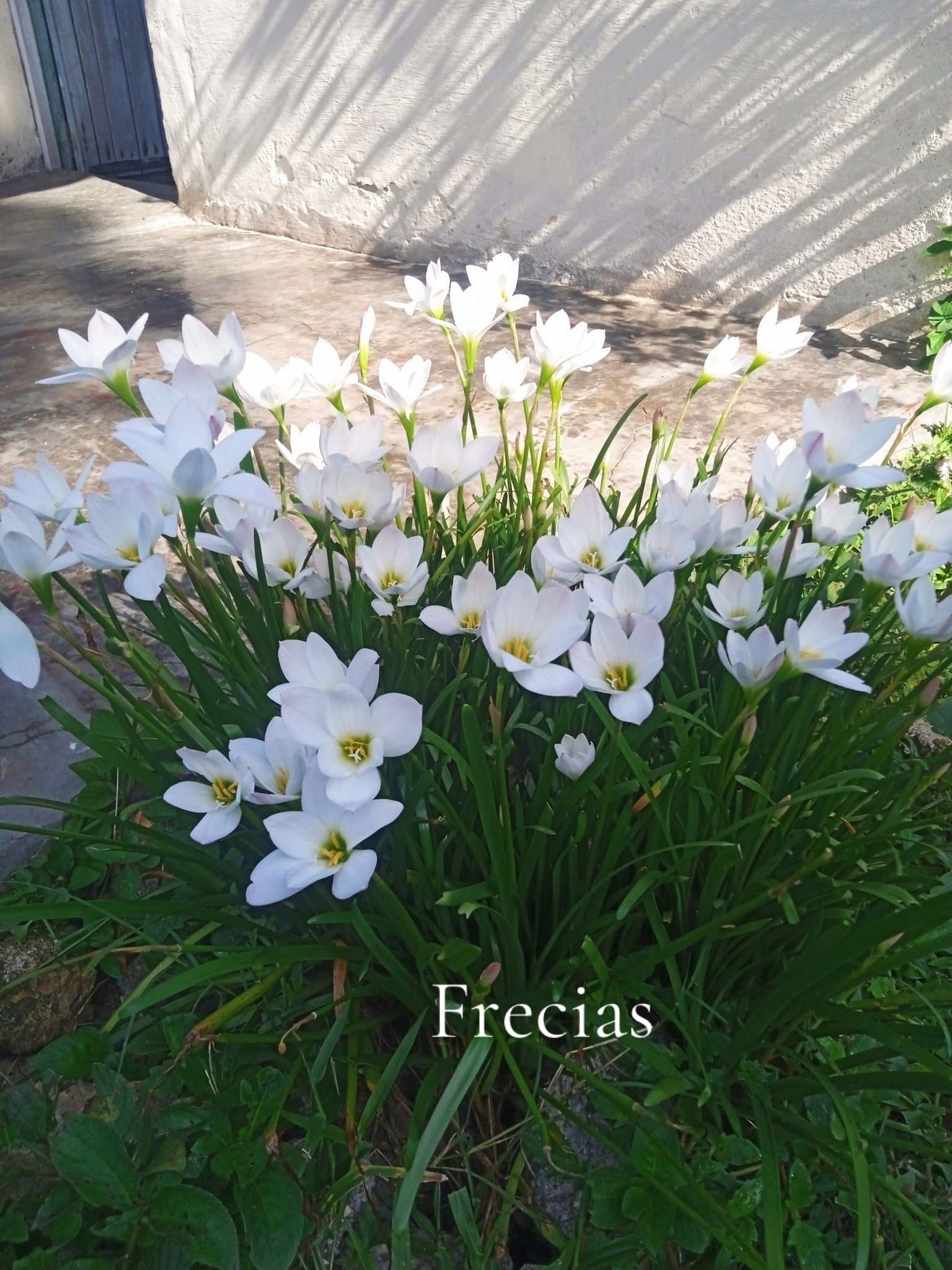 @Puras fotitos