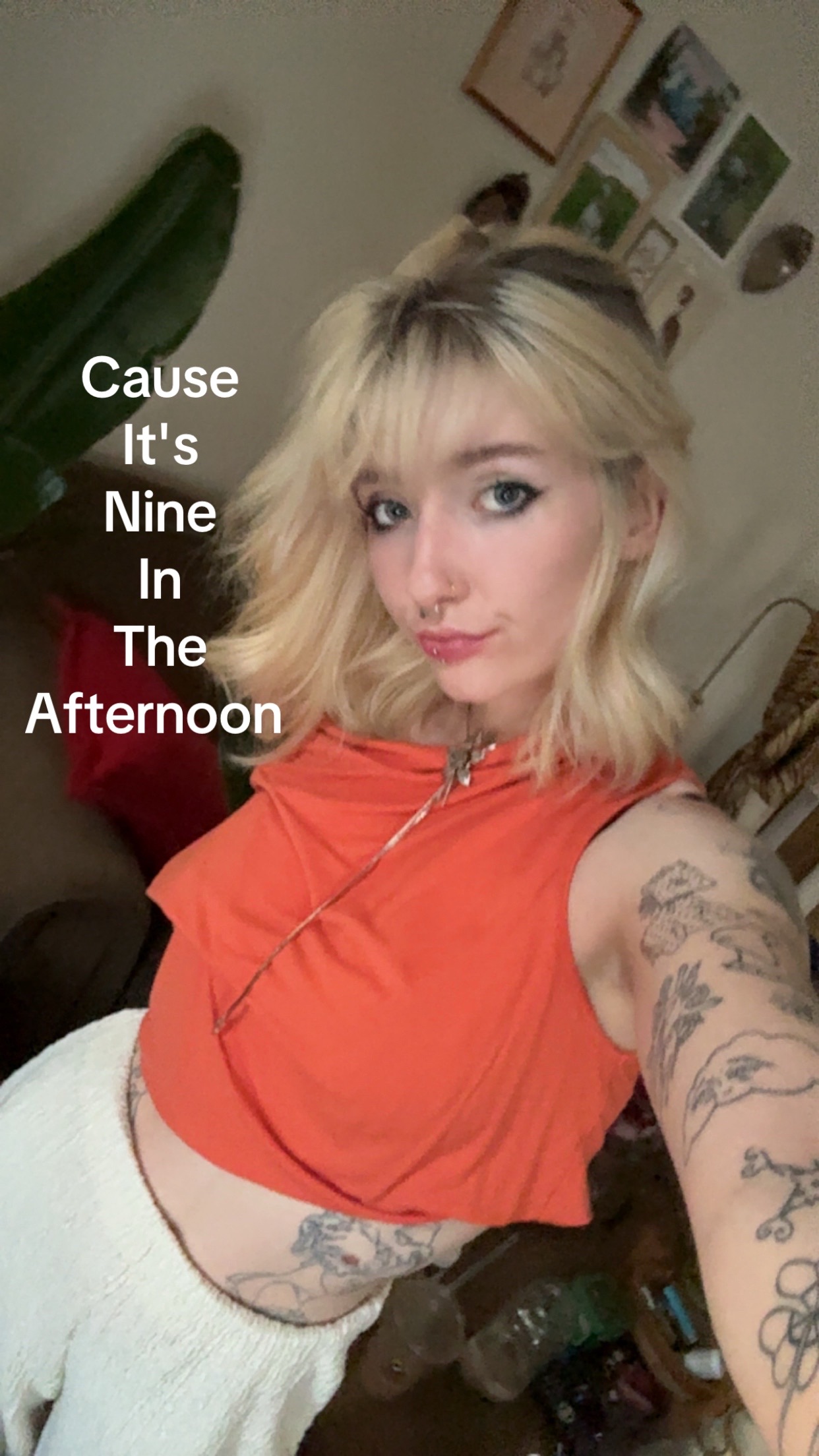 @ivieshi
