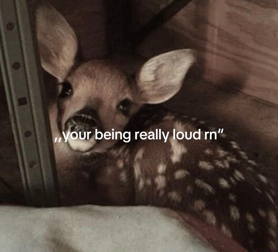 @ʀᴇɪ