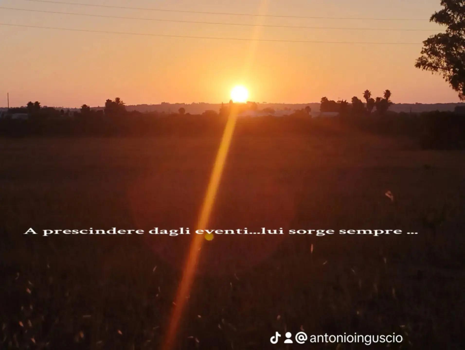 @antonioinguscio