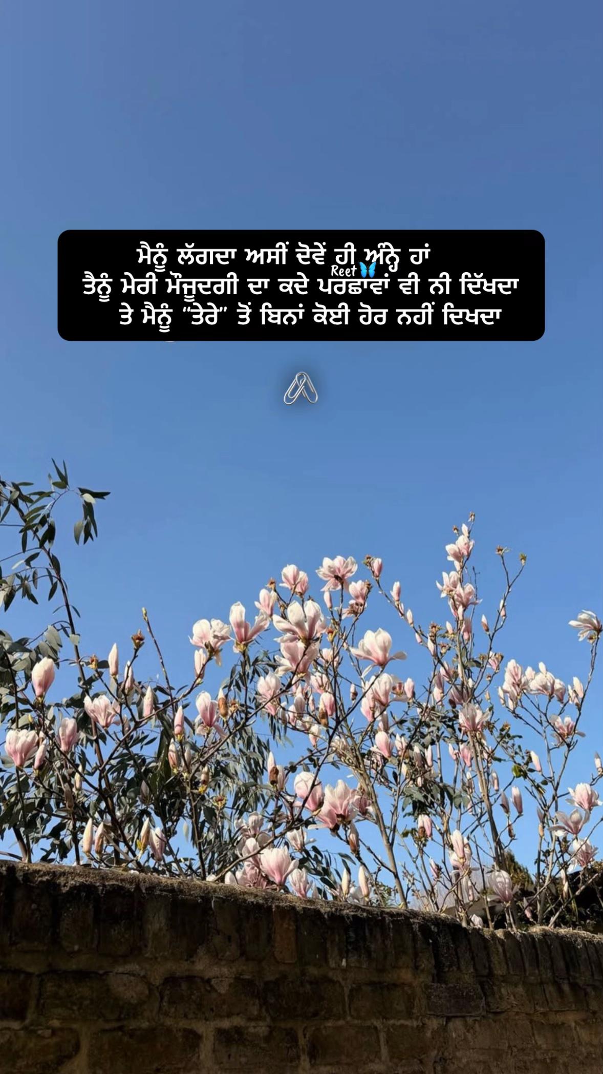 @Reet Kaur🦋🧚♀️🪬