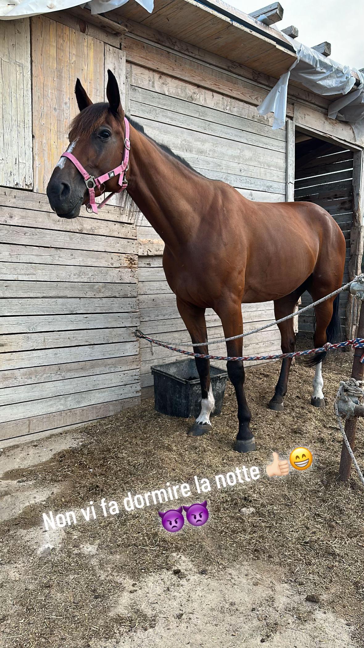 @Sconosciuto6.12