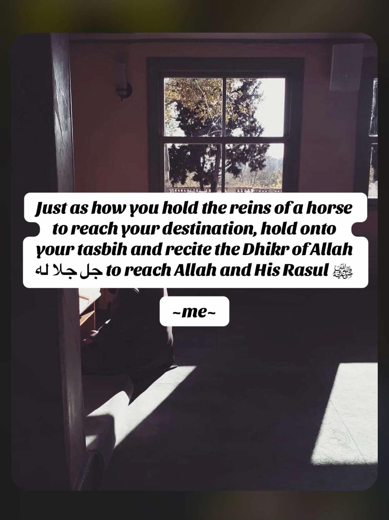 @عاشق الرسول ﷺ