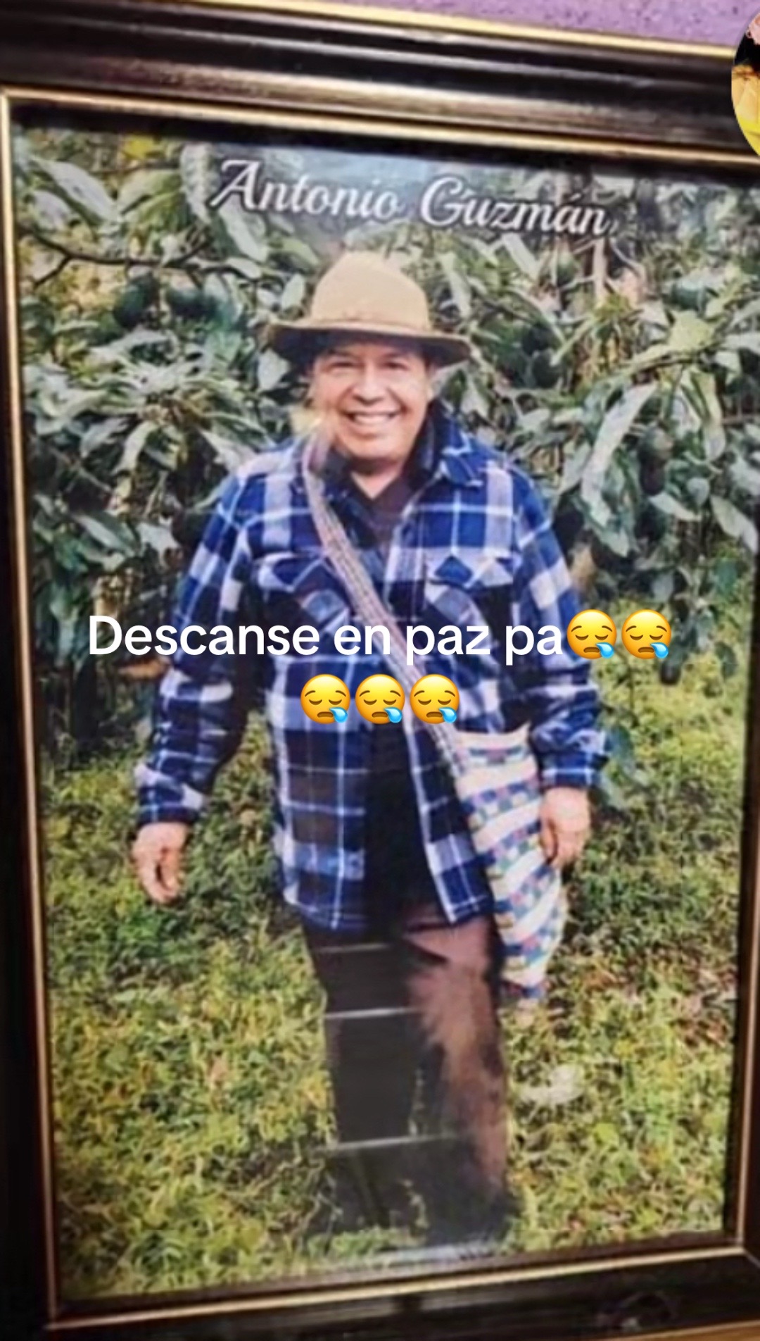 @yolandaceto_502