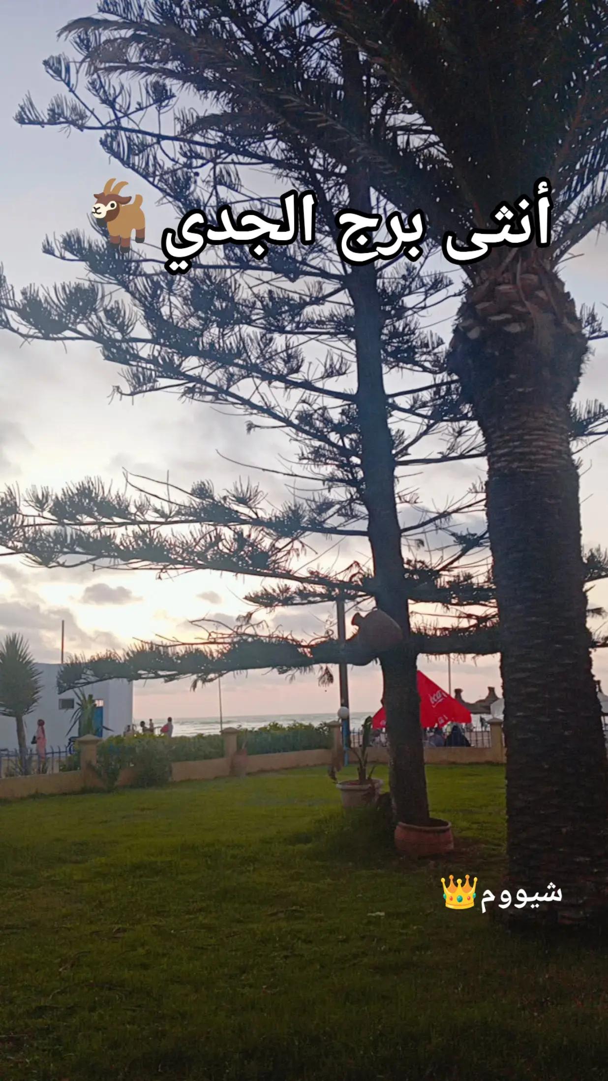 @شيووم👑