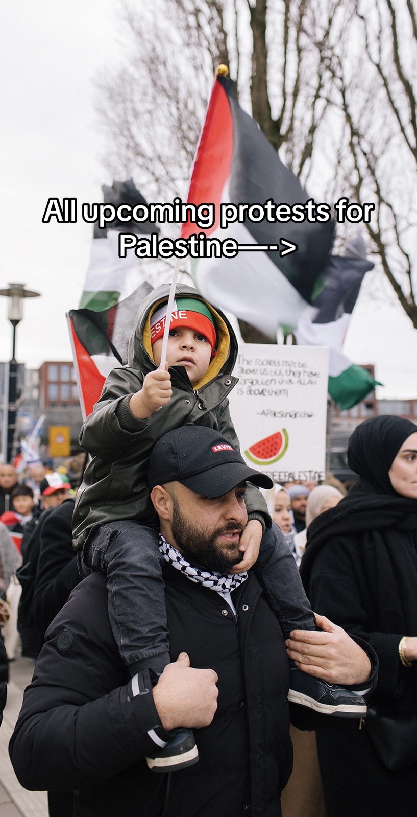 @Gokkie For Palestine