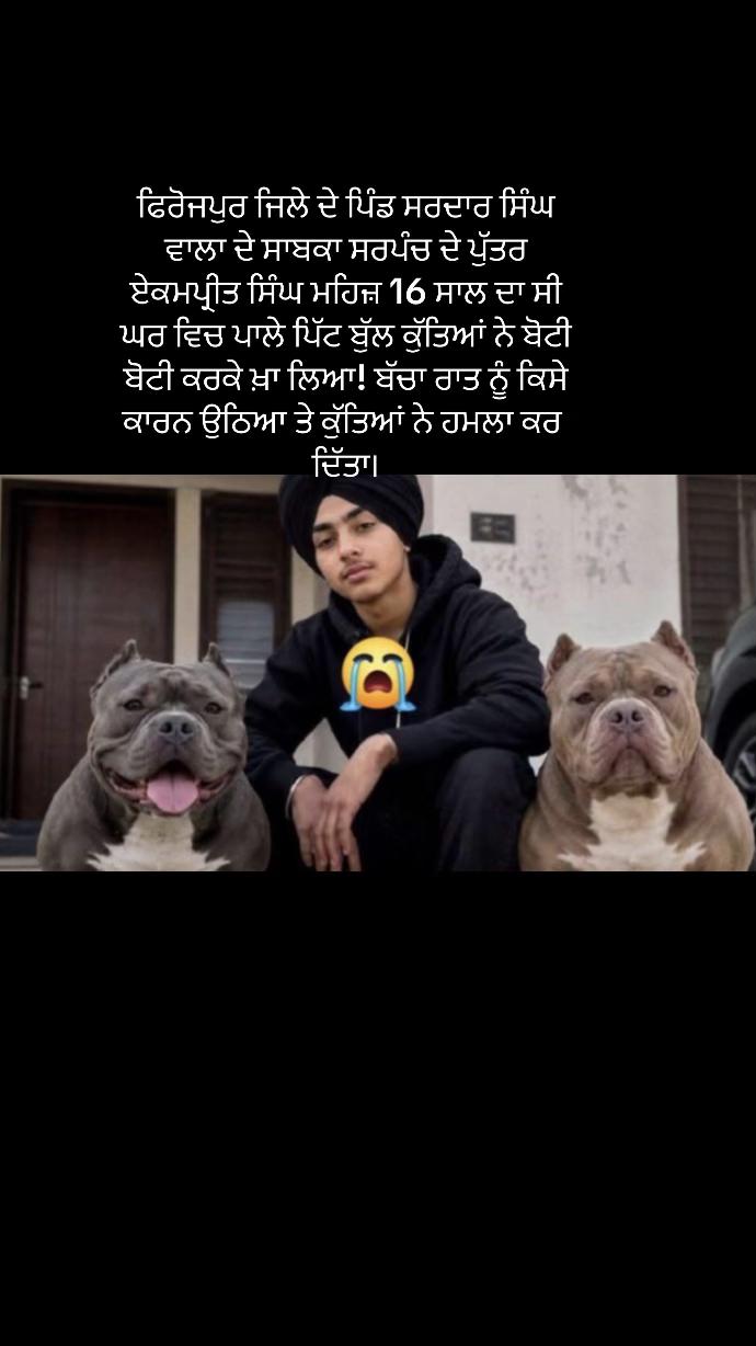 @ਪੰਜਾਬੀ.ਮੁੰਡਾ28