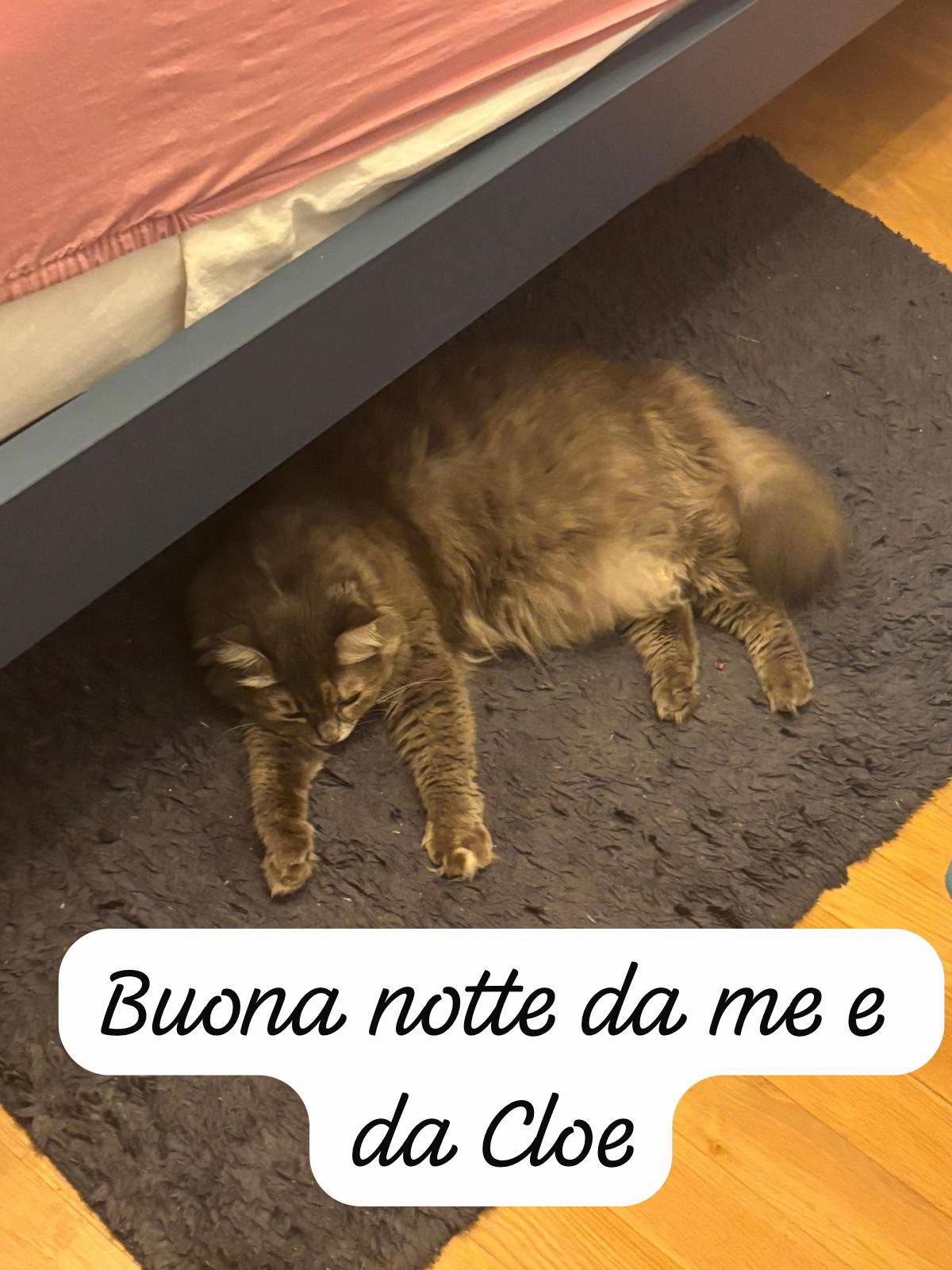 @Giovanna Cloe