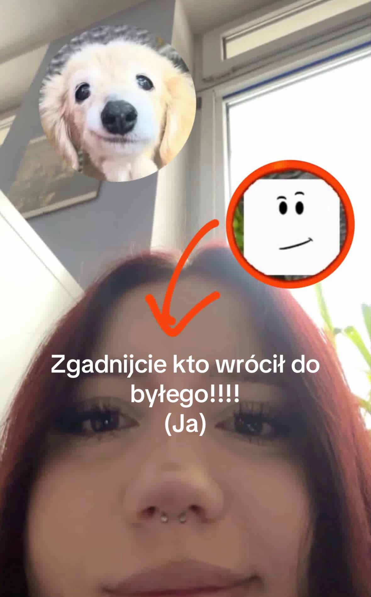 @jajoglowie