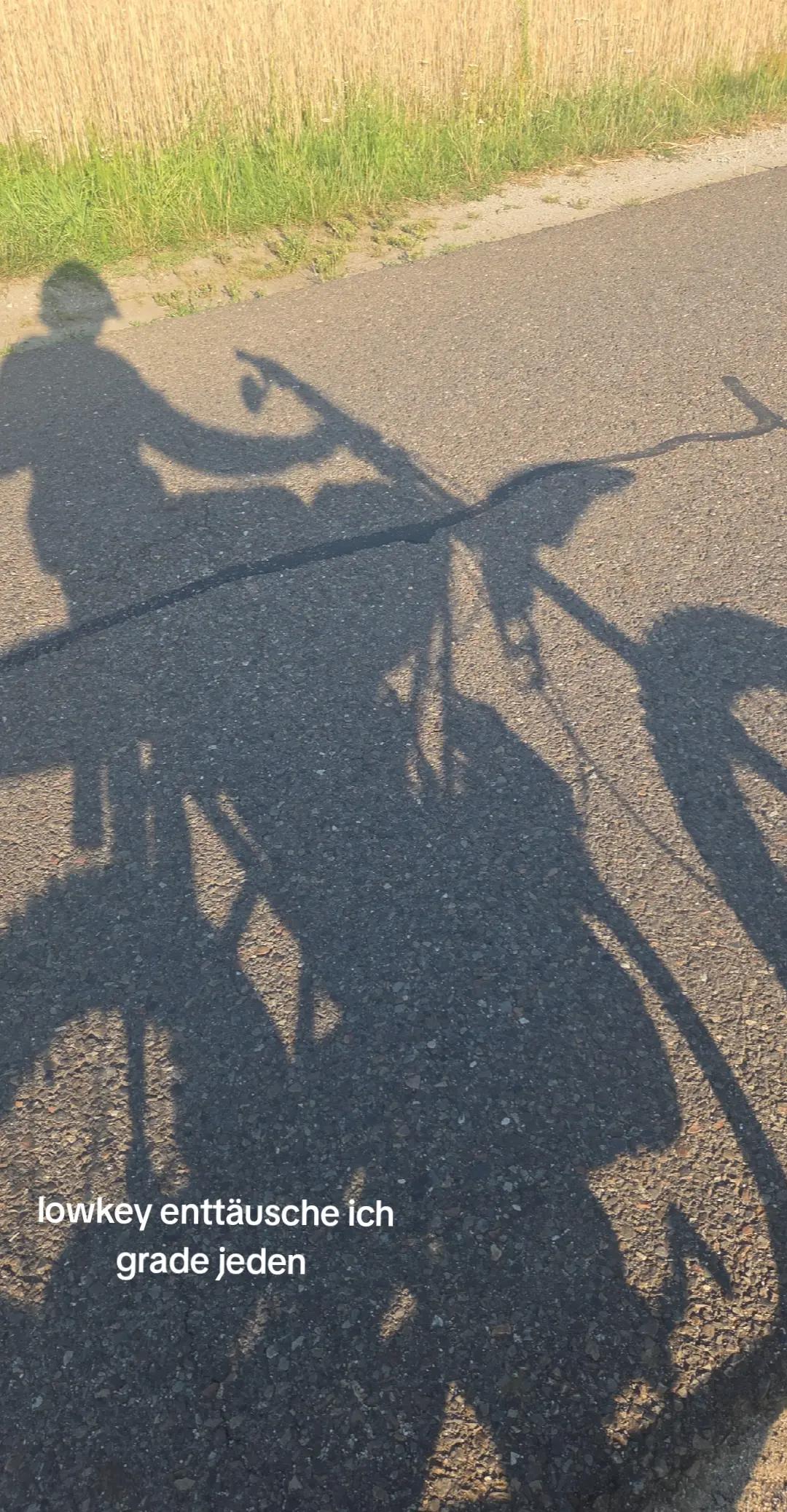 @mopedleon