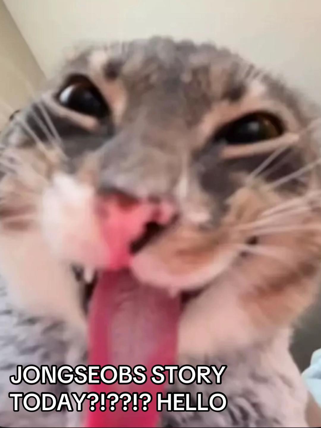 @anna ₊˚⊹🧩