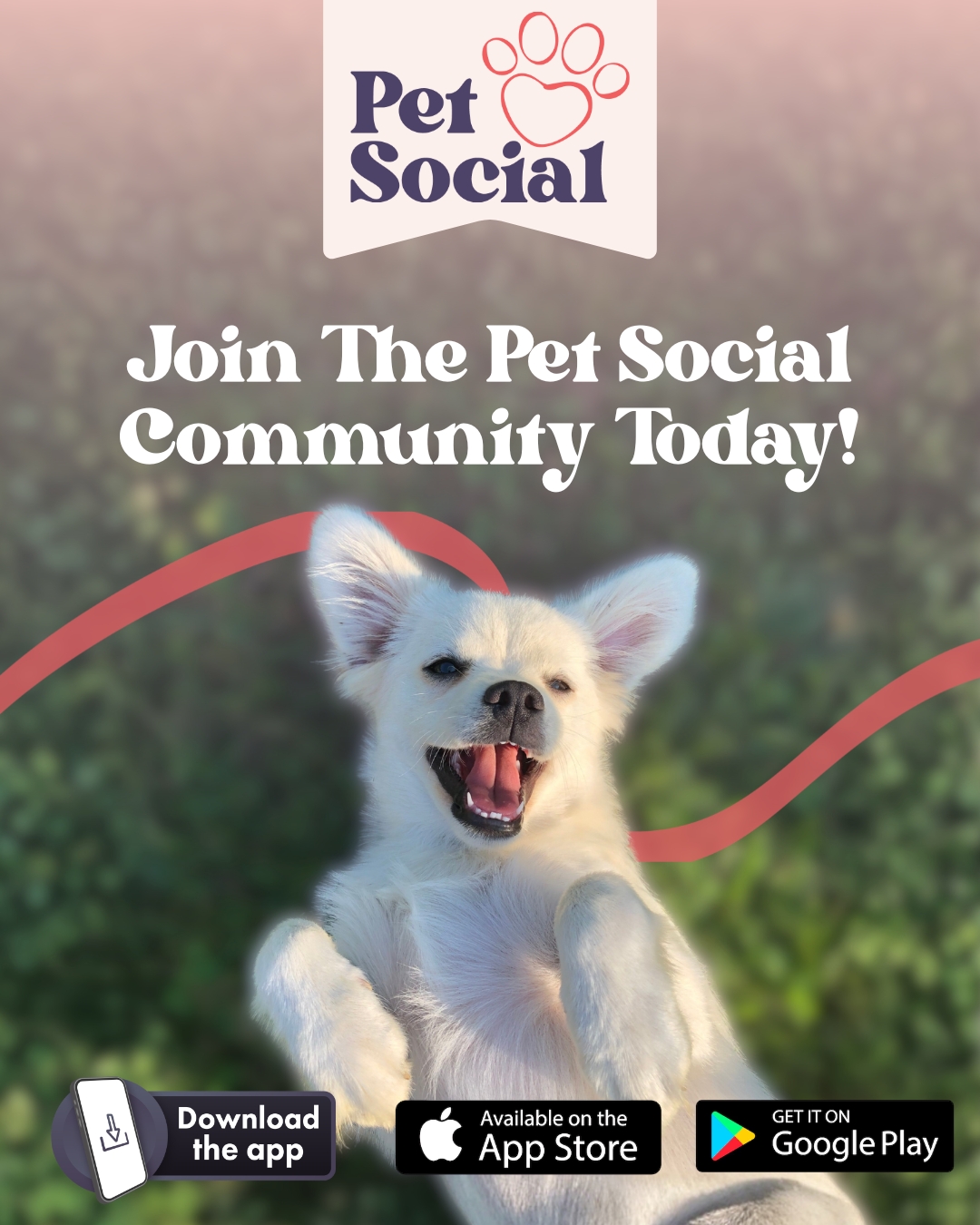 @Pet Social UK