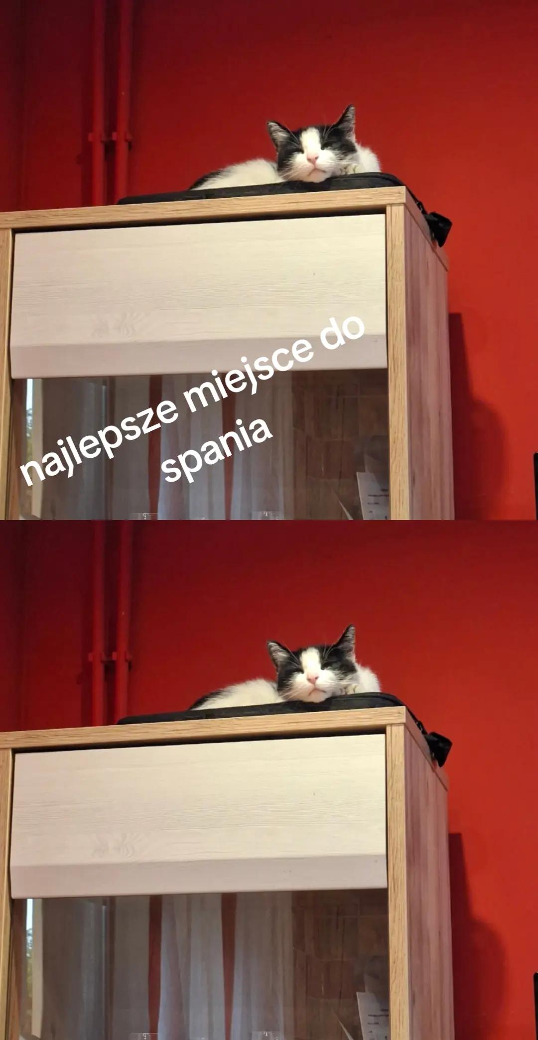 @1969@kasia