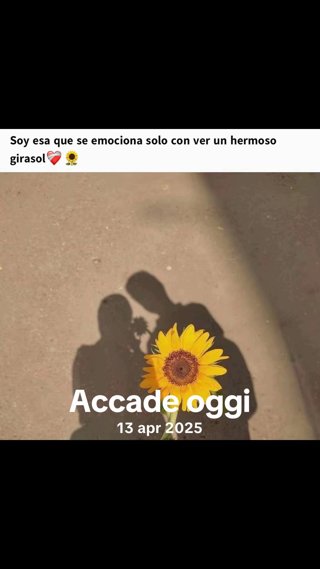 @Sabry🤩