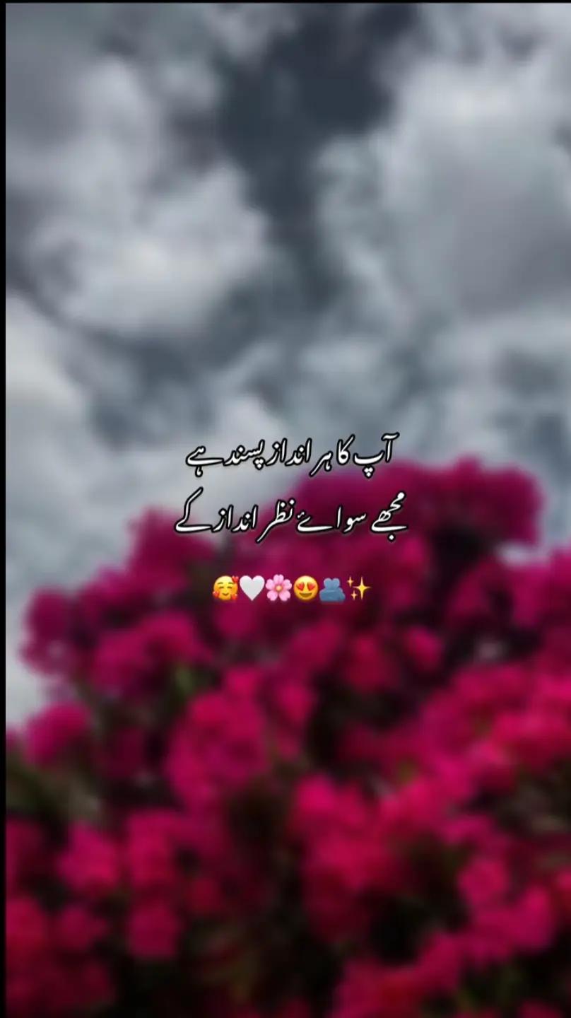 @اِختتامِ محبت ❤️&zwj;🩹🩹💔