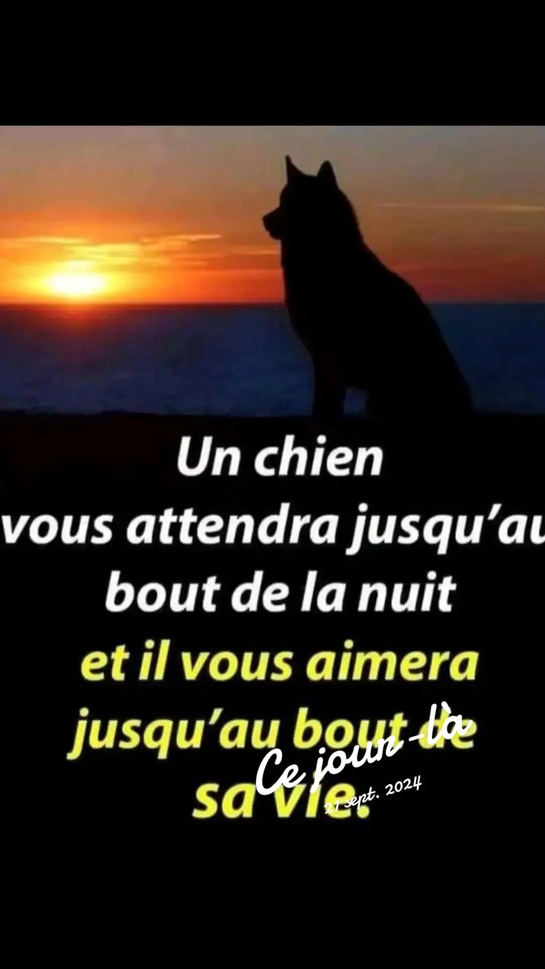 @Antoine frau