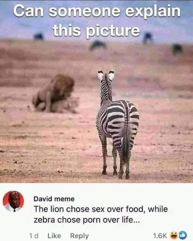 @🔥