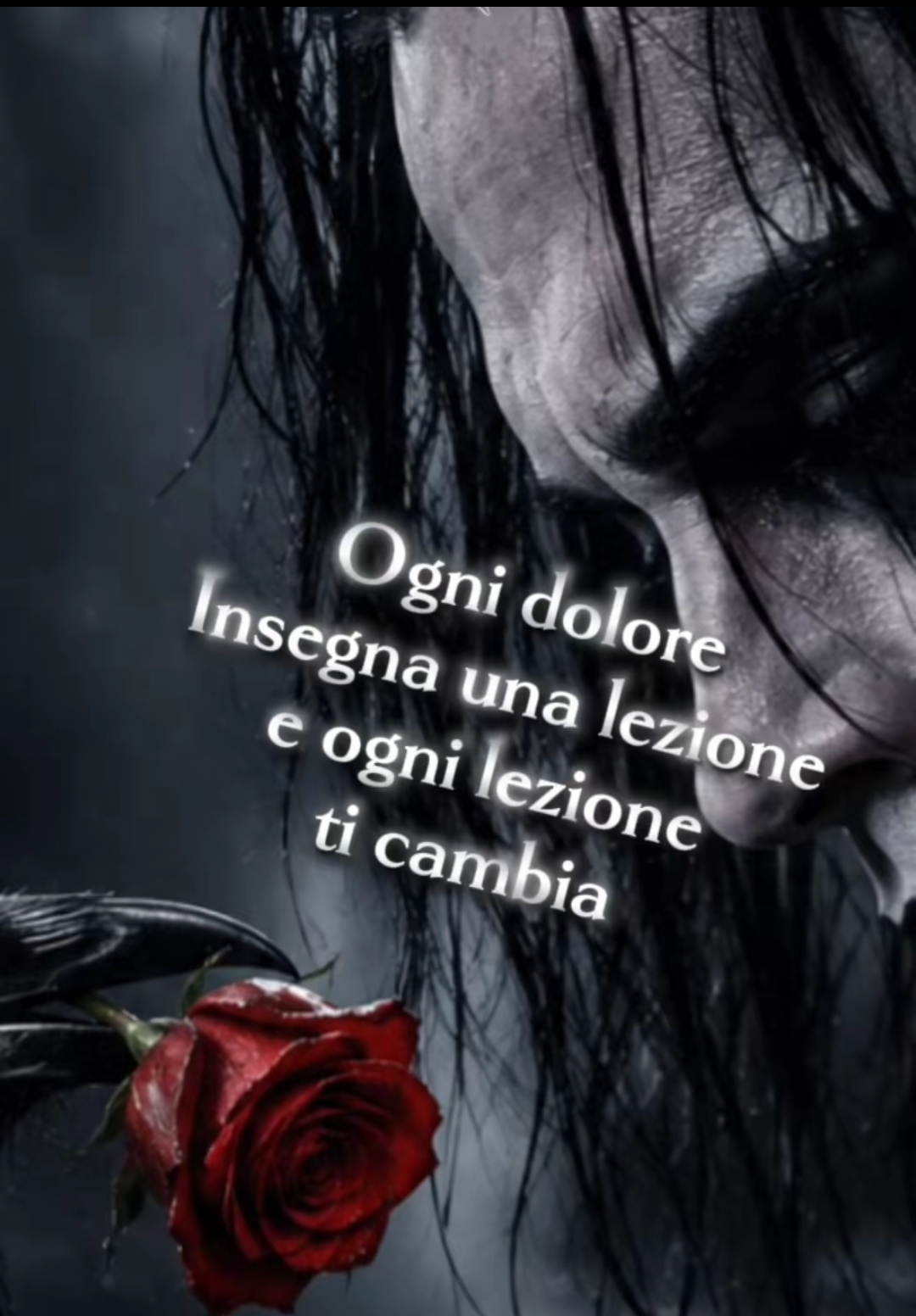 @lucia