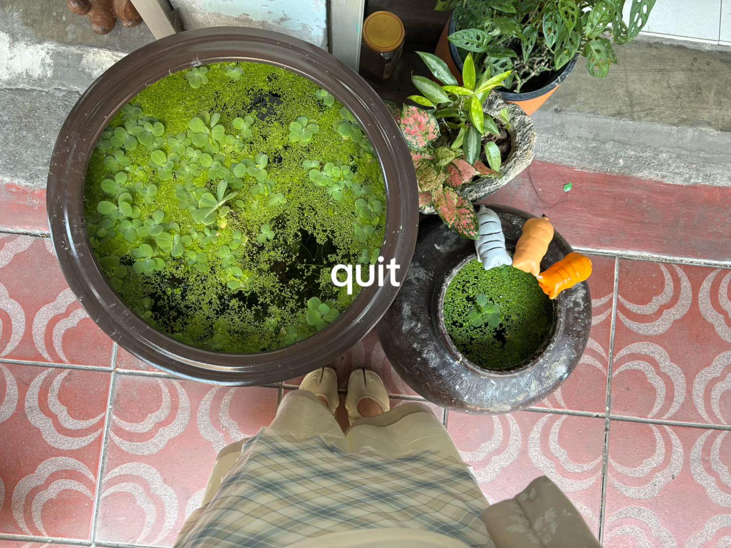 @sa🪷