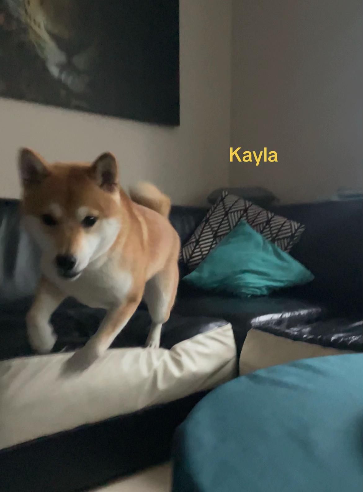 @Kayla
